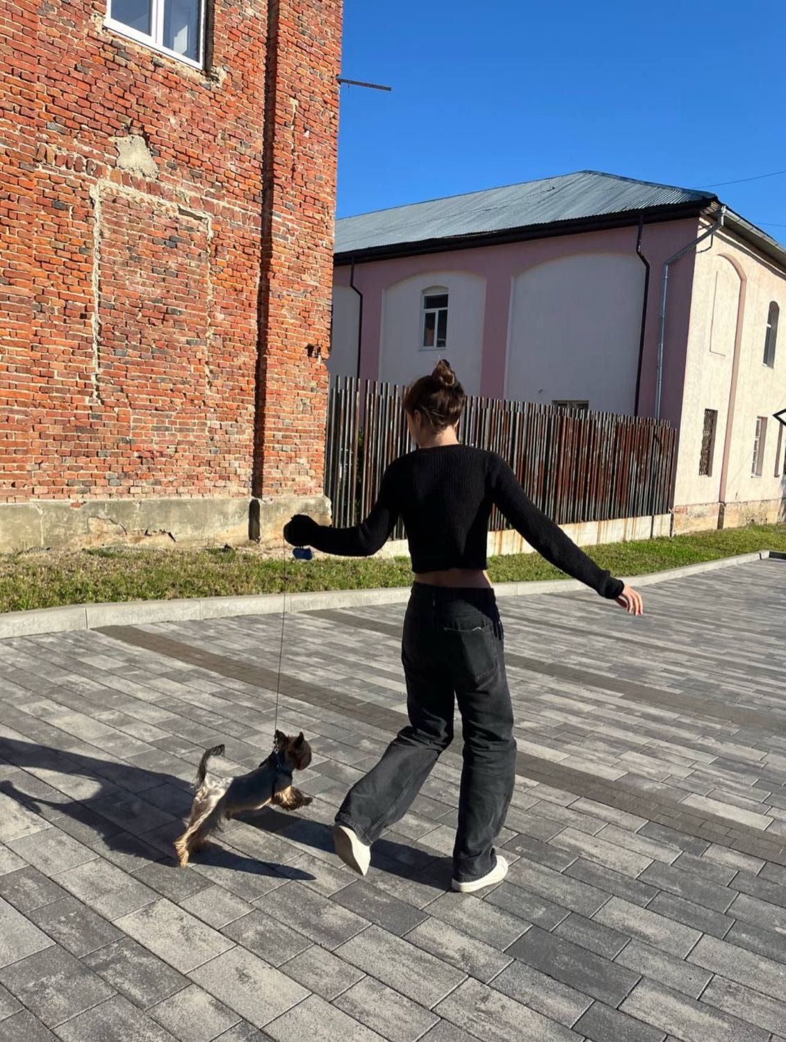 image-6
