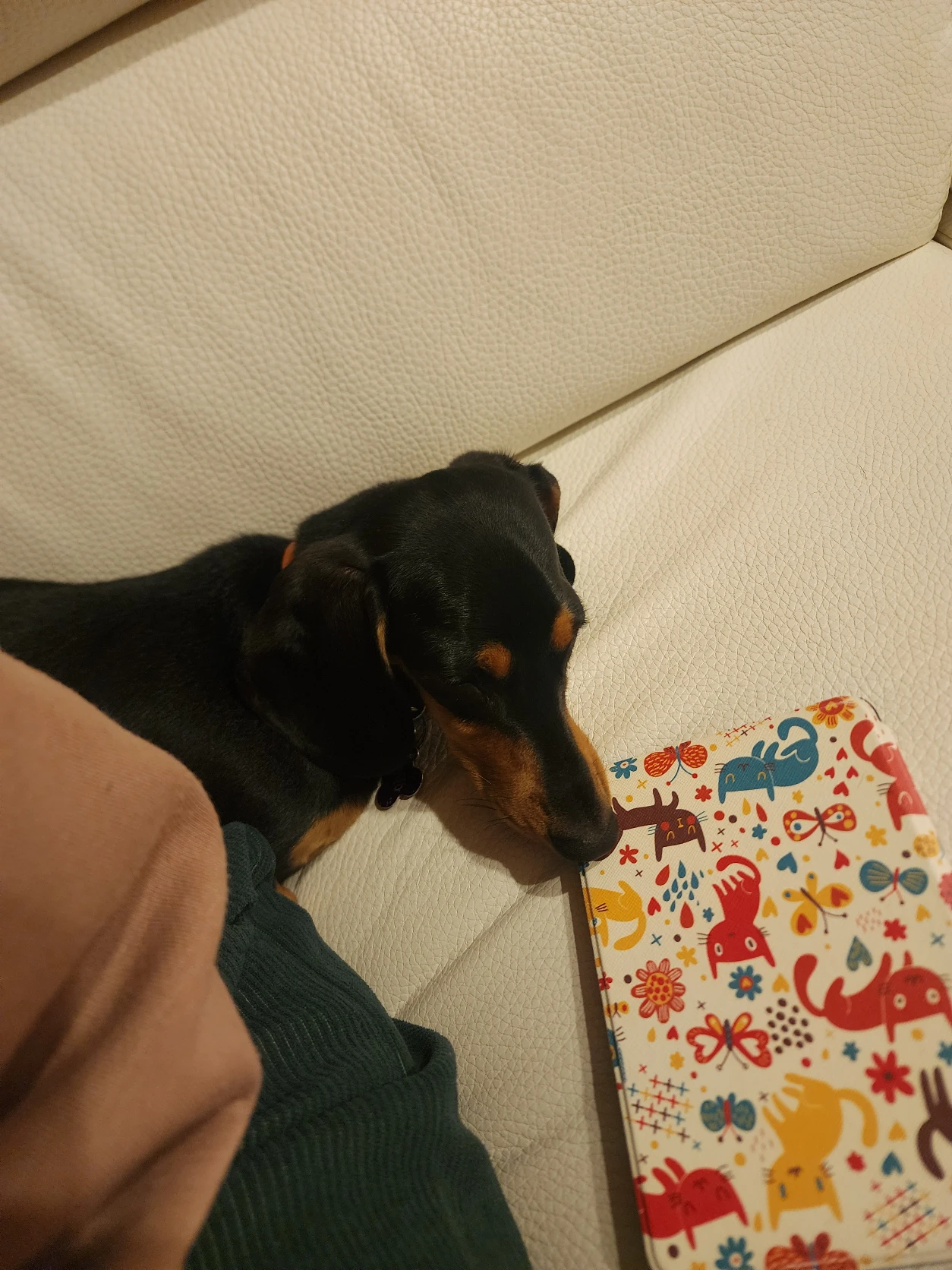 image-5