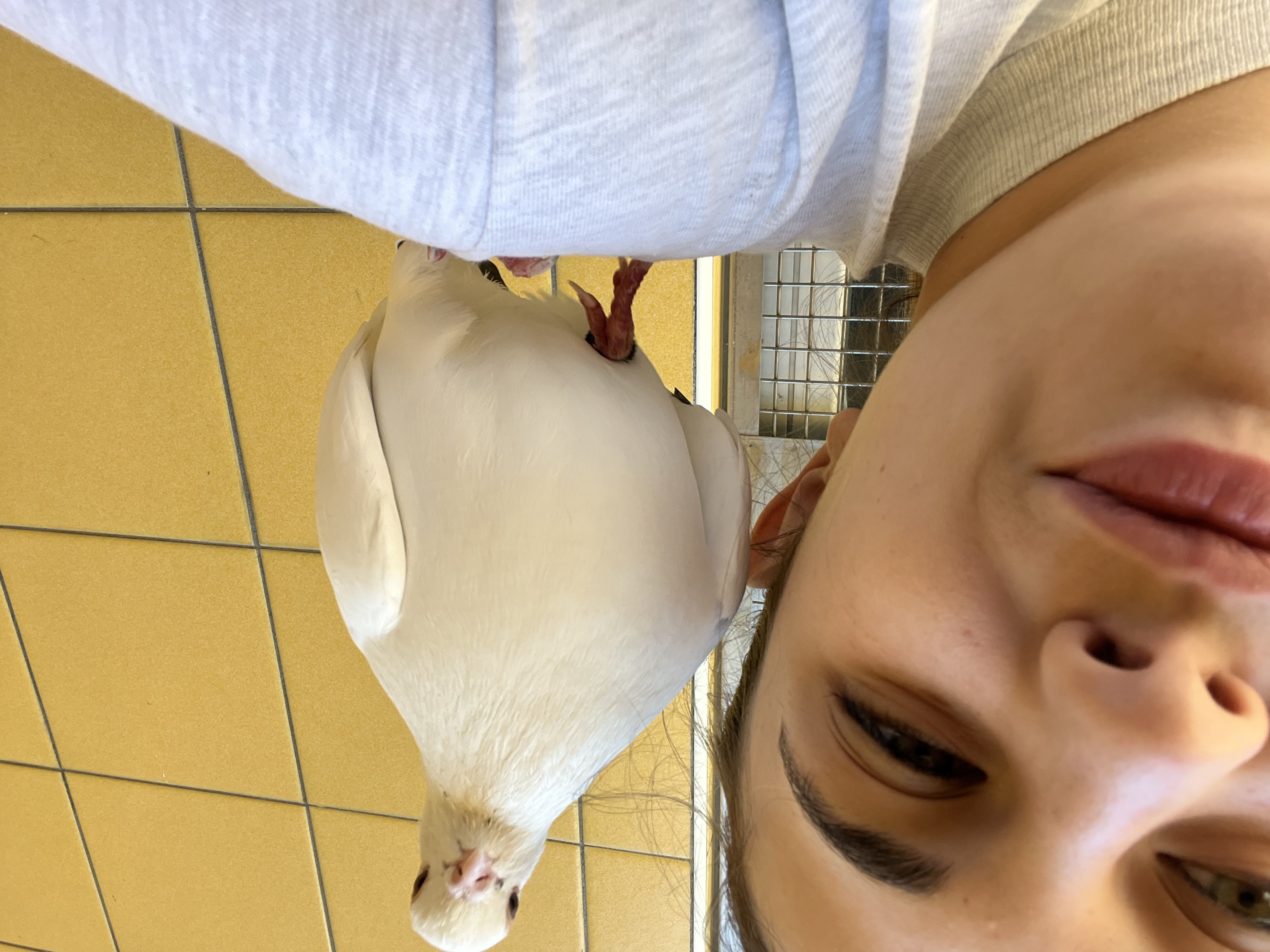 image-7