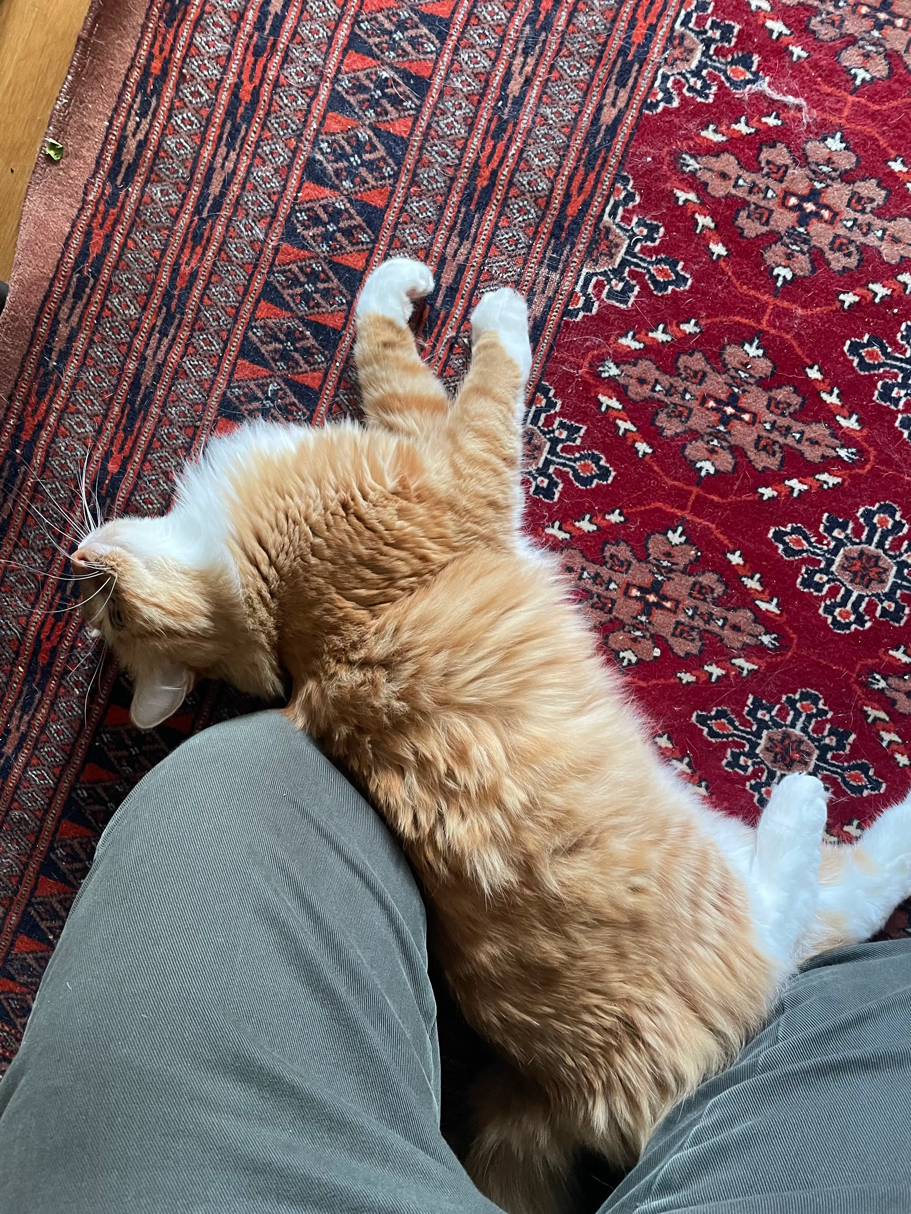 image-8