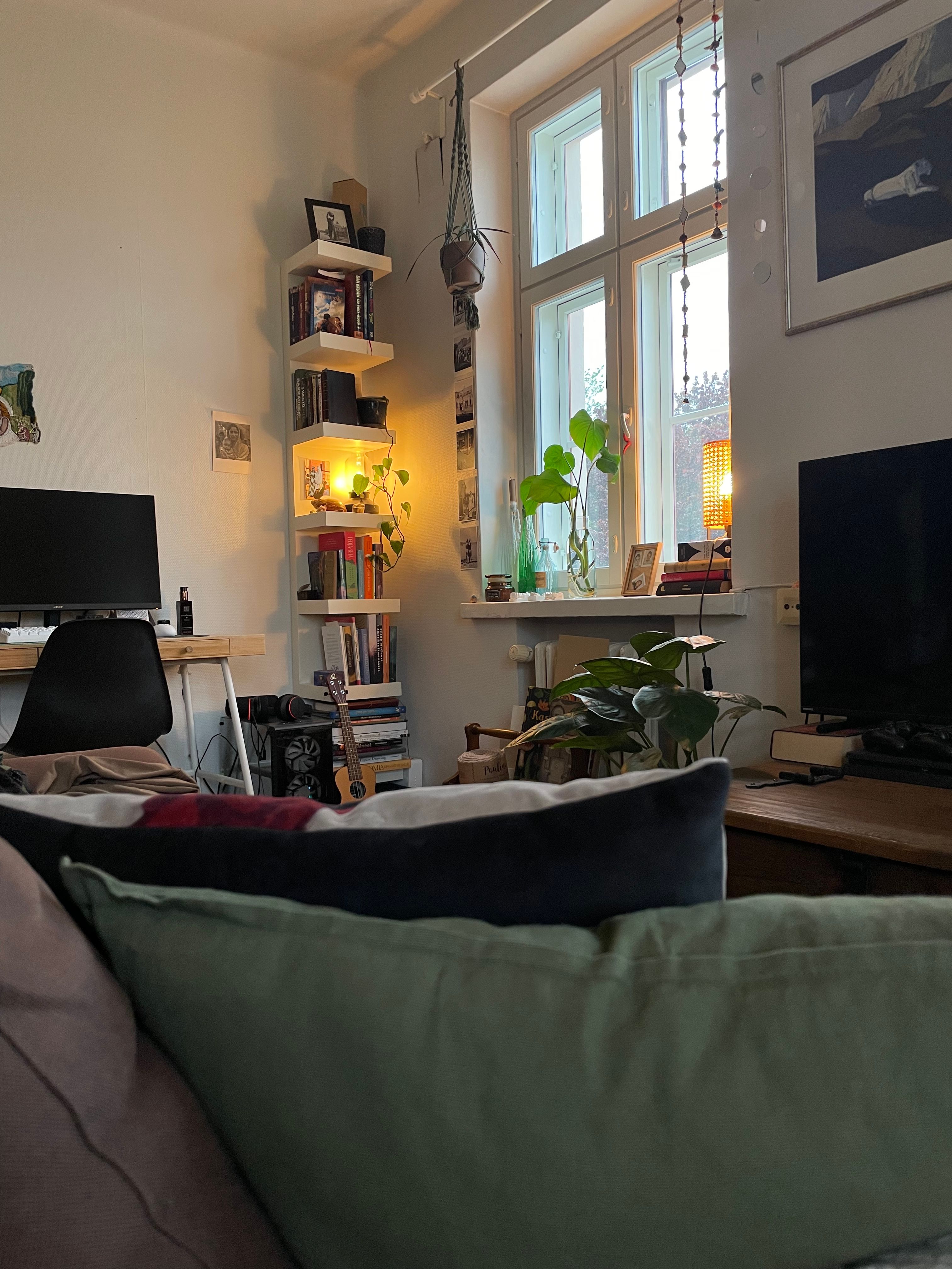 image-14