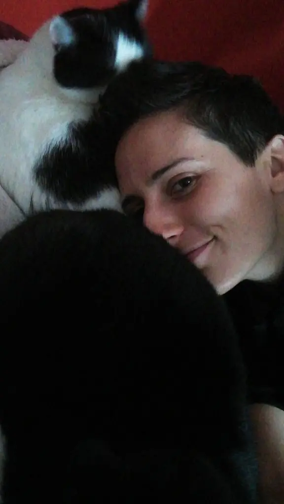 image-4