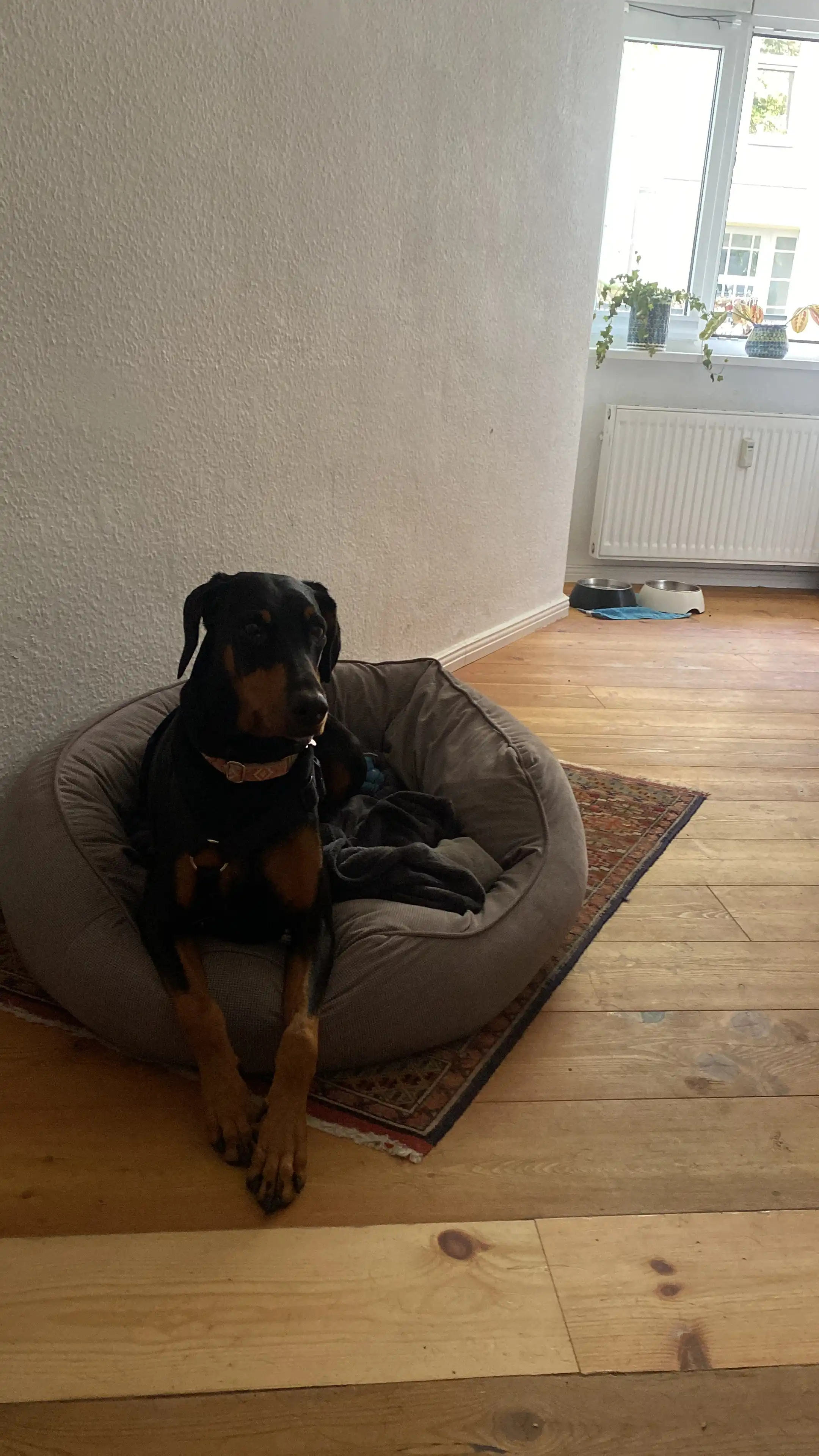 image-16