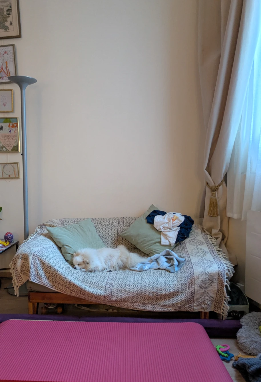 image-12