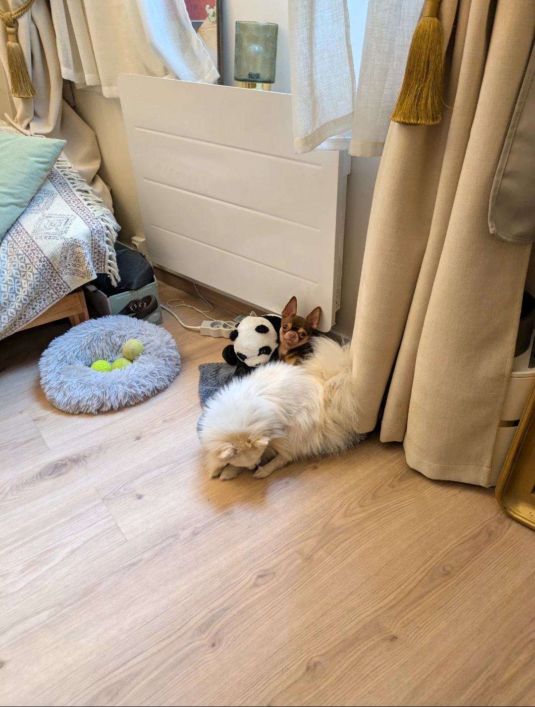 image-10