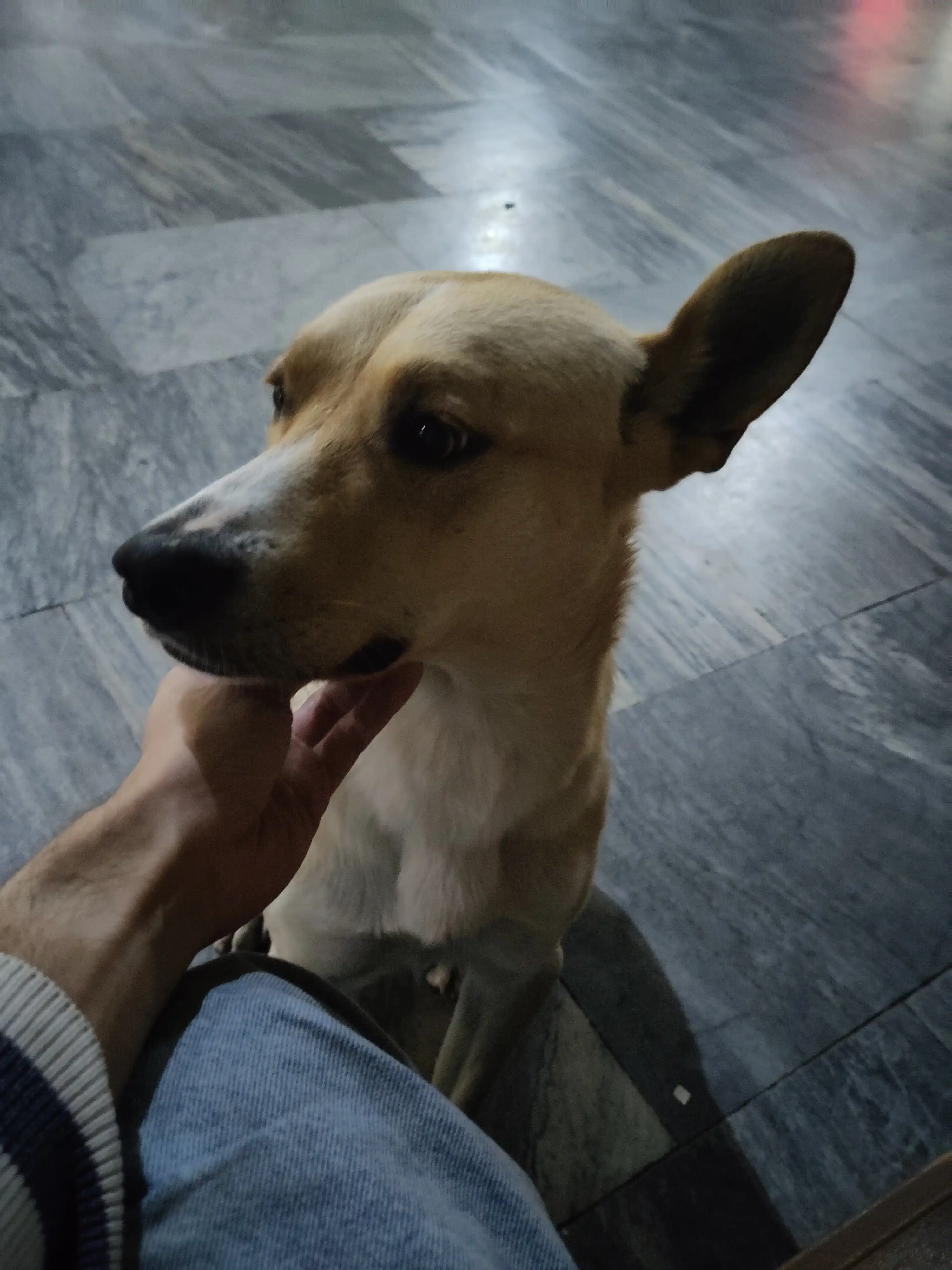 image-5