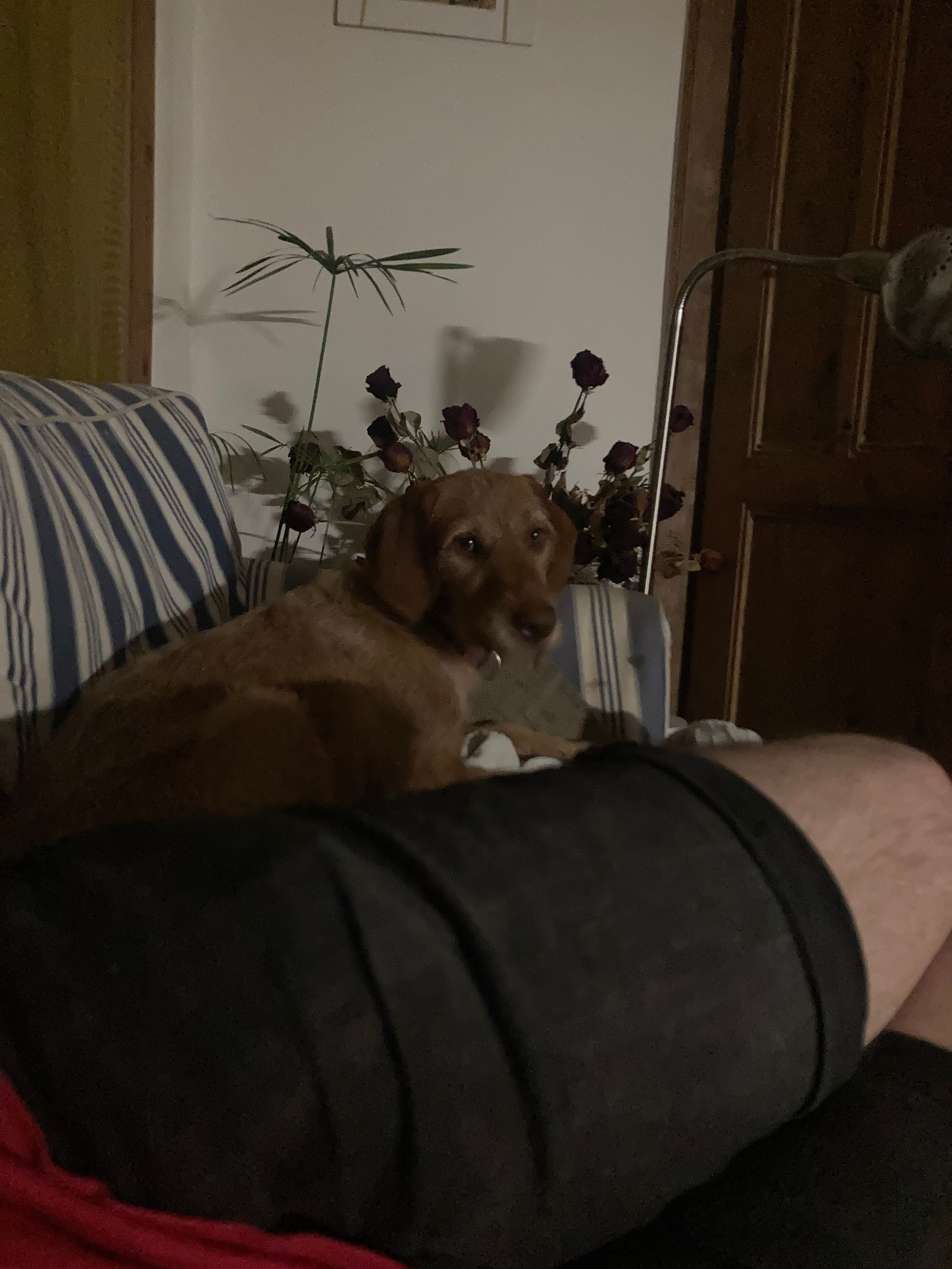 image-8