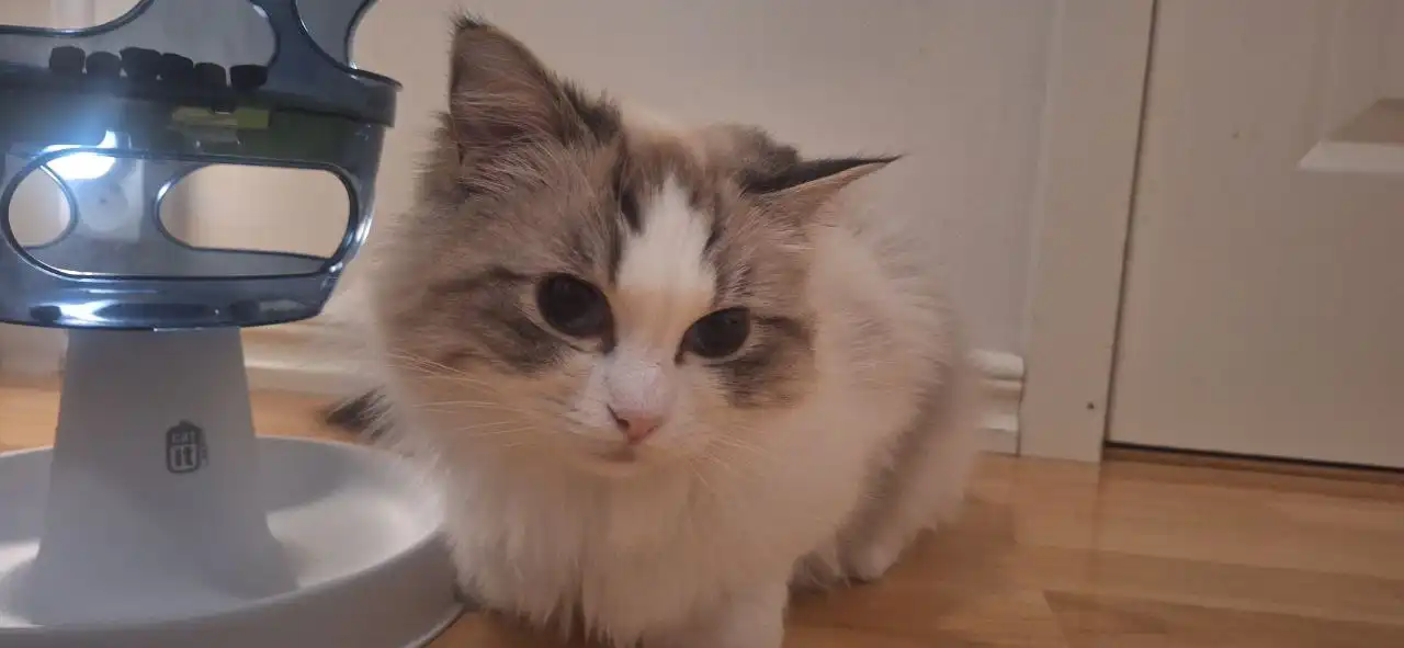 image-6