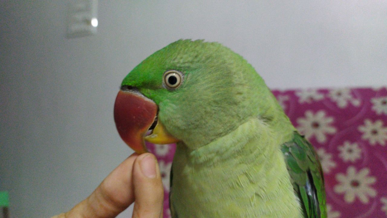 image-5