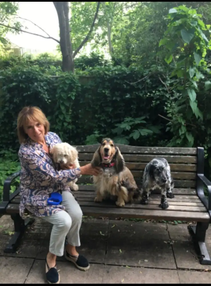 Pet Care Legged Friends Daycare Wendy Pet Sitter In Stratford-upon