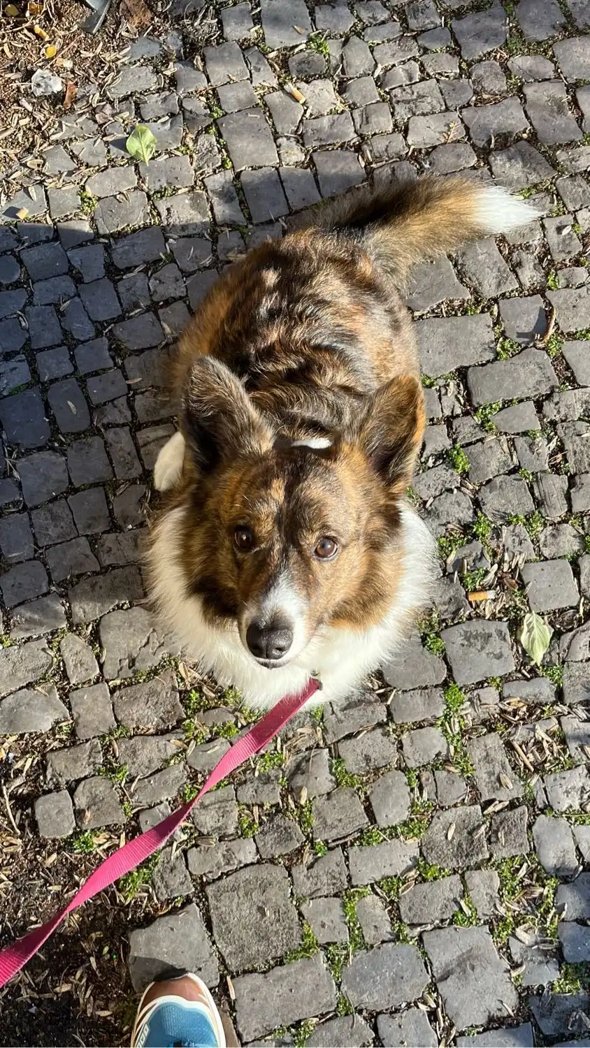 image-8