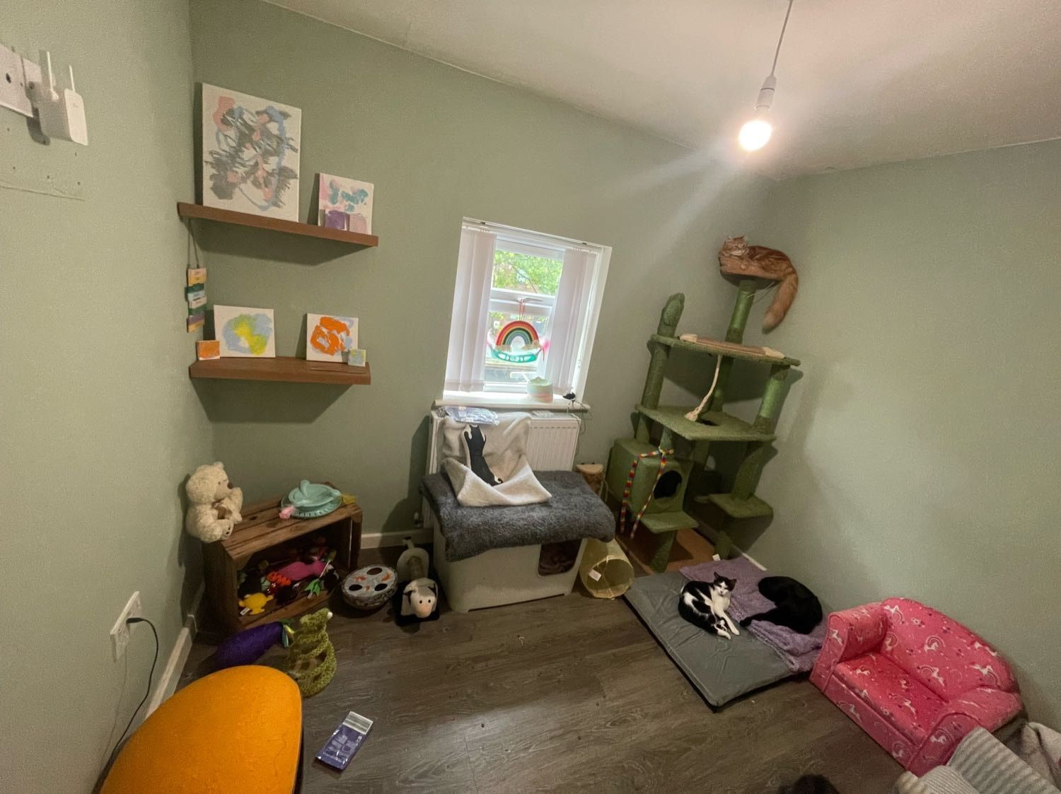 image-12
