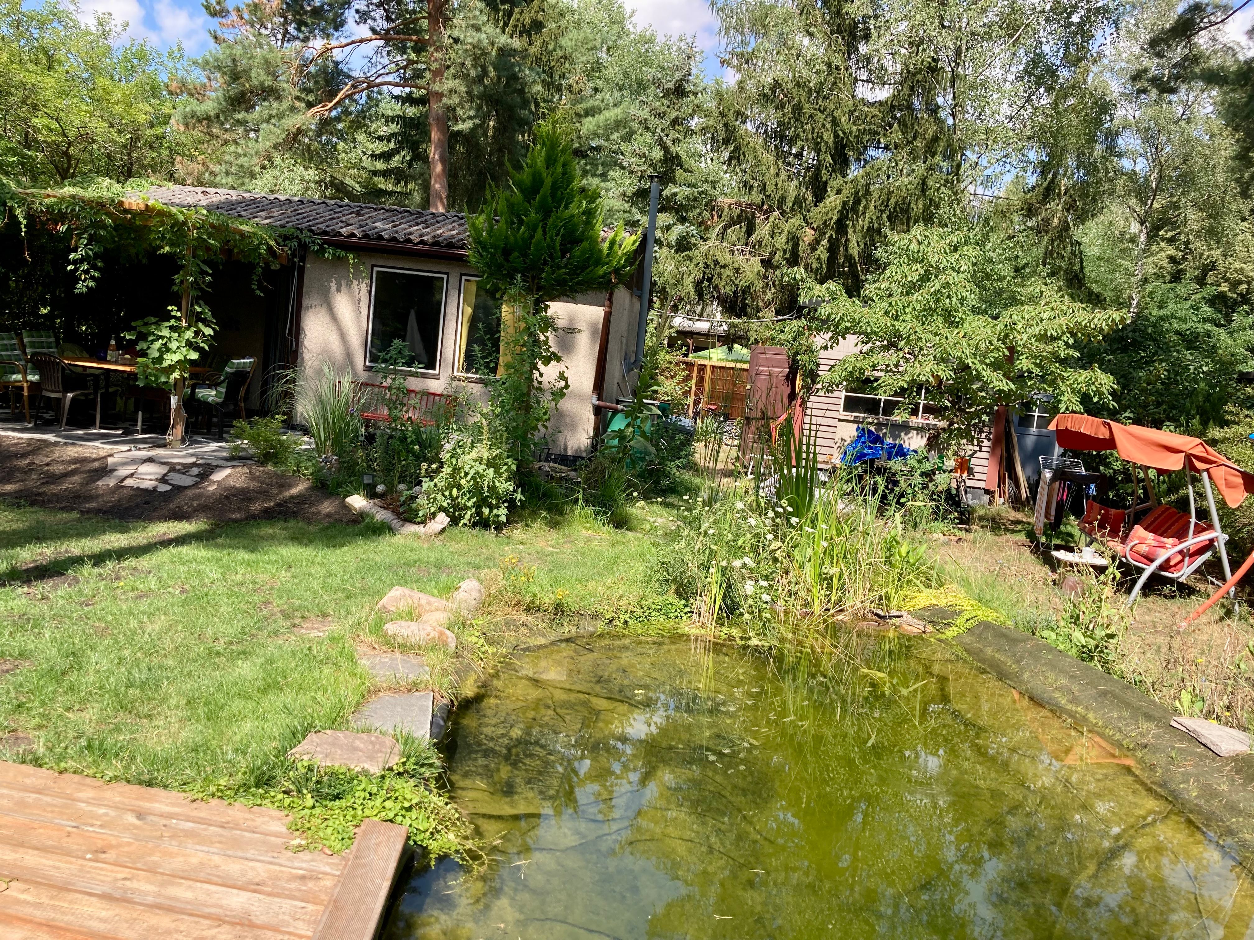 image-19