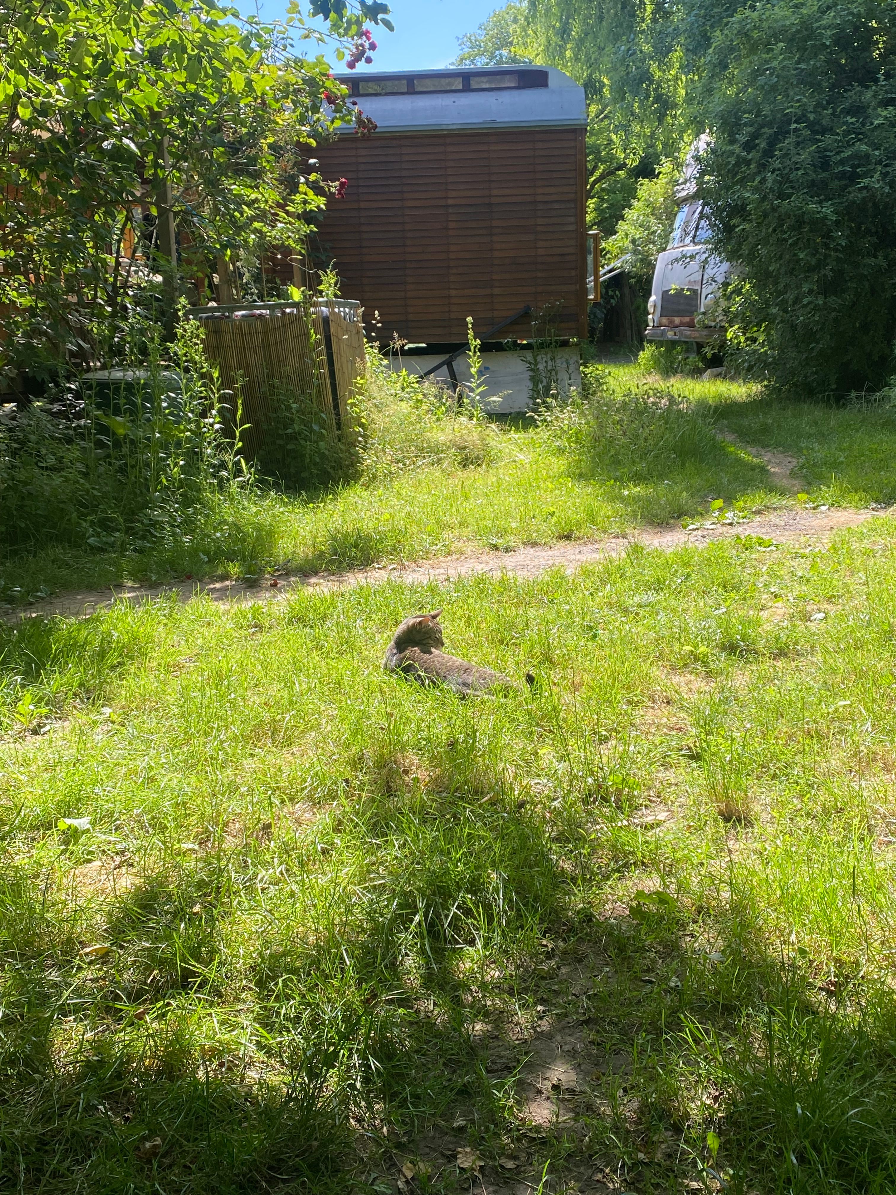 image-19