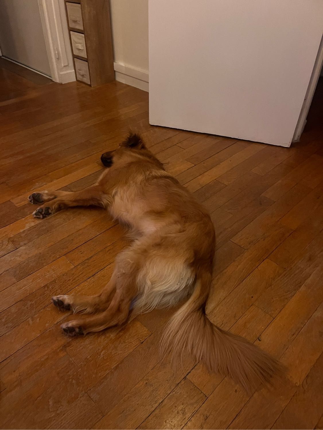 image-11