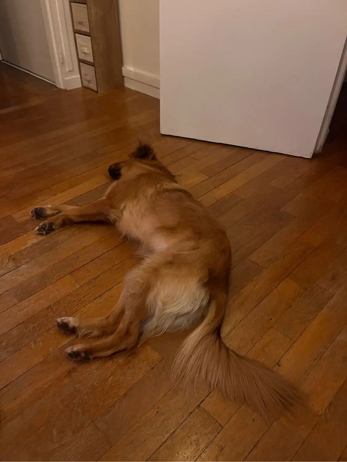 image-11
