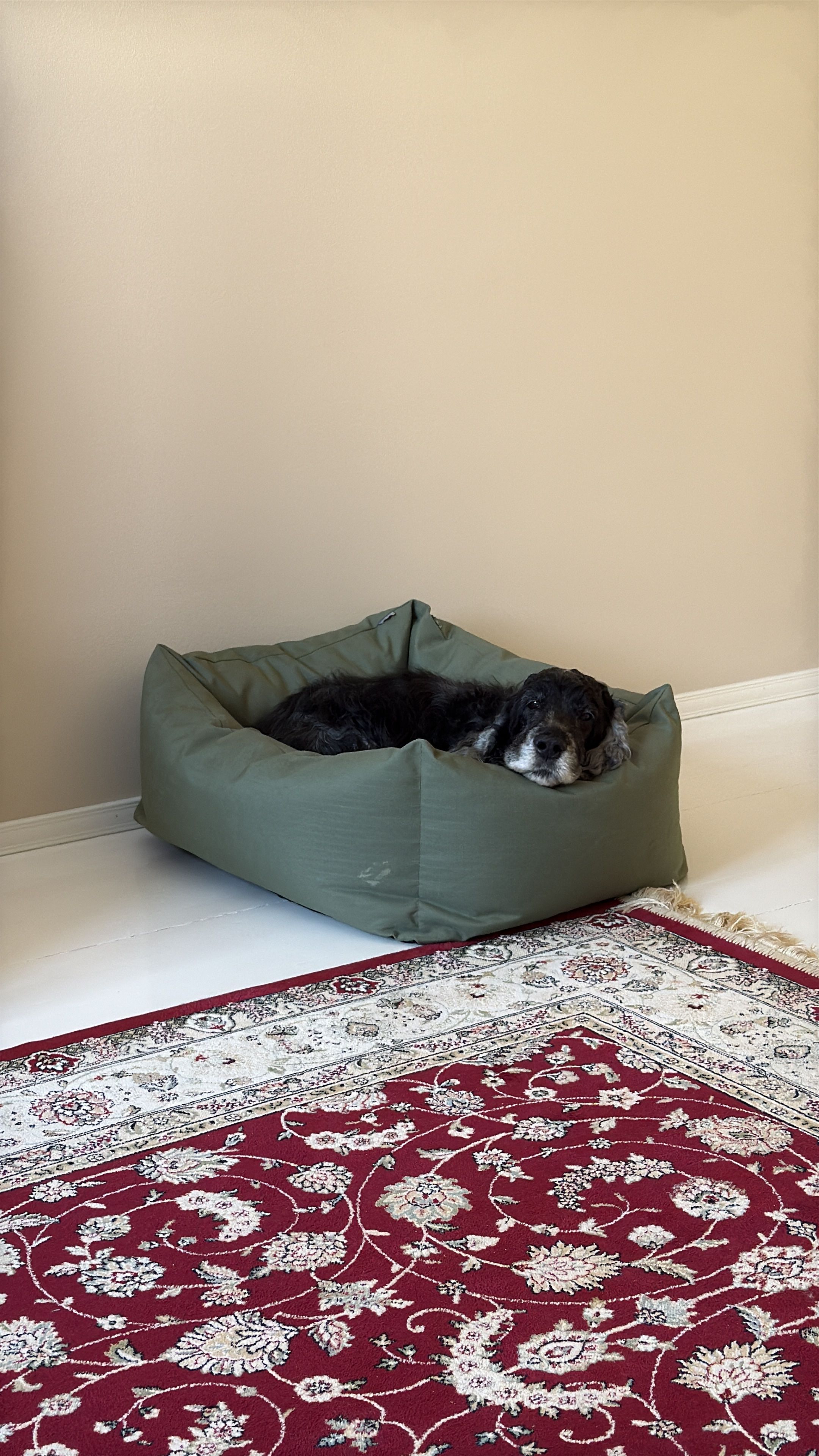 image-14