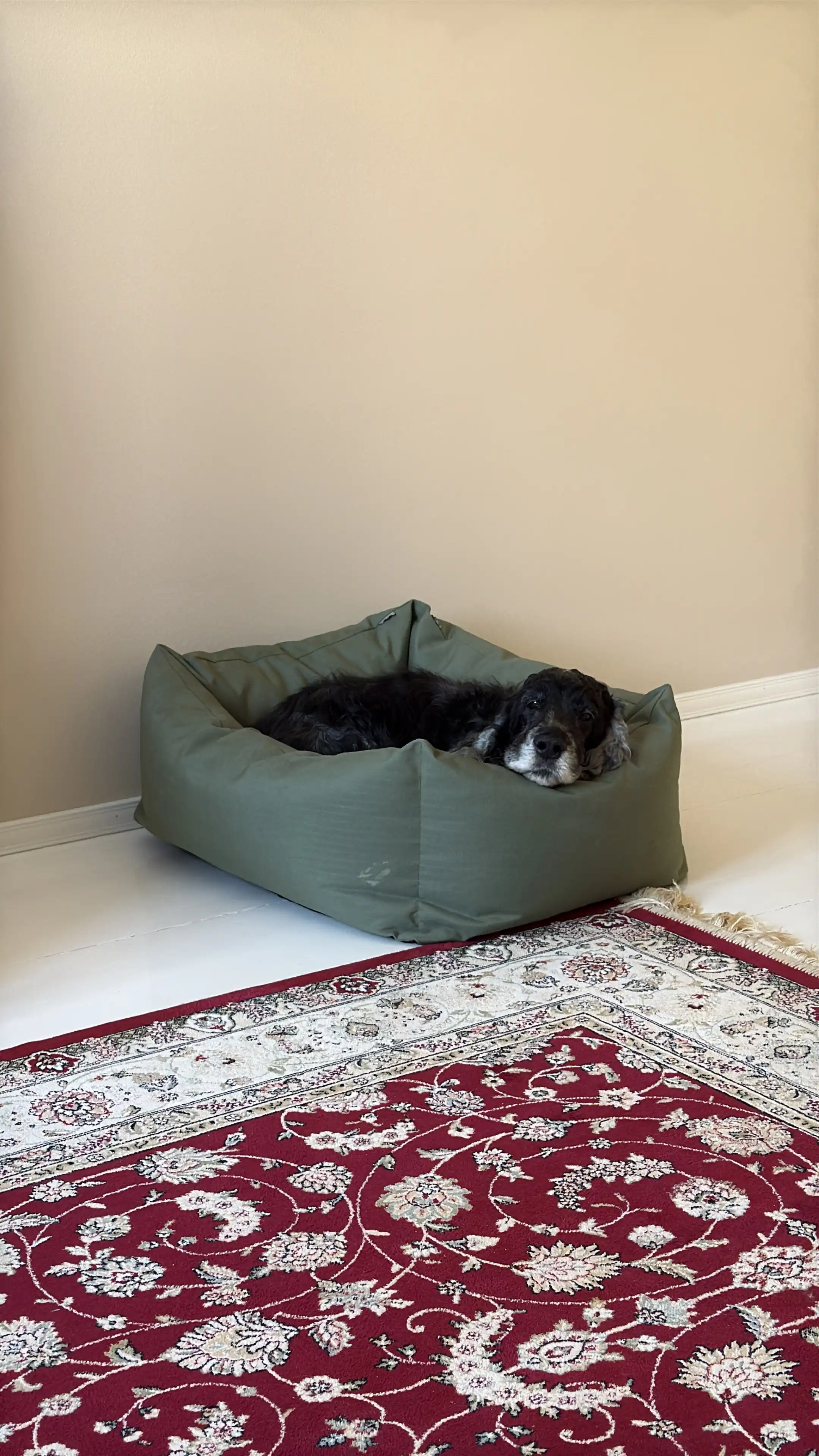 image-14