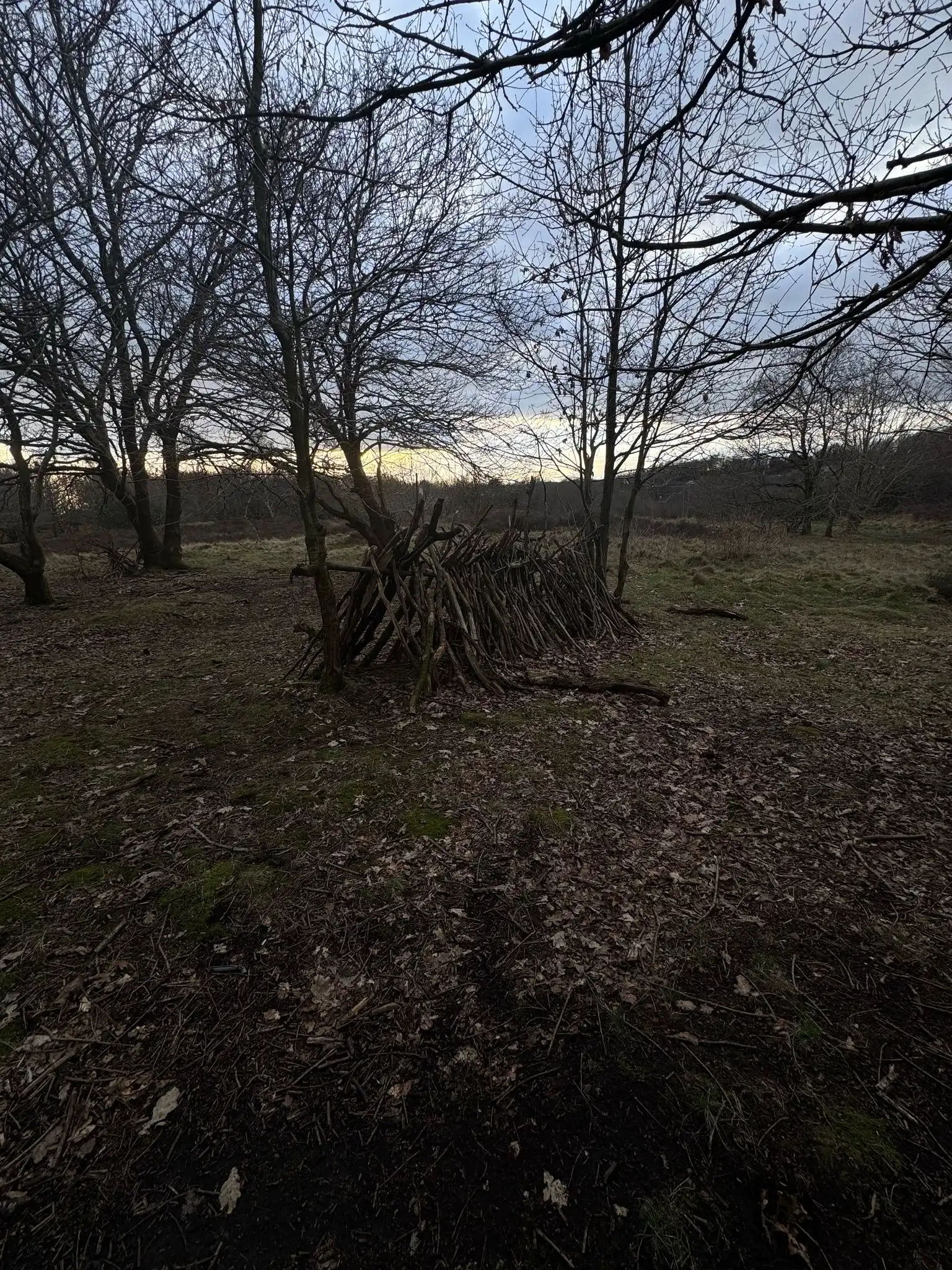 image-13