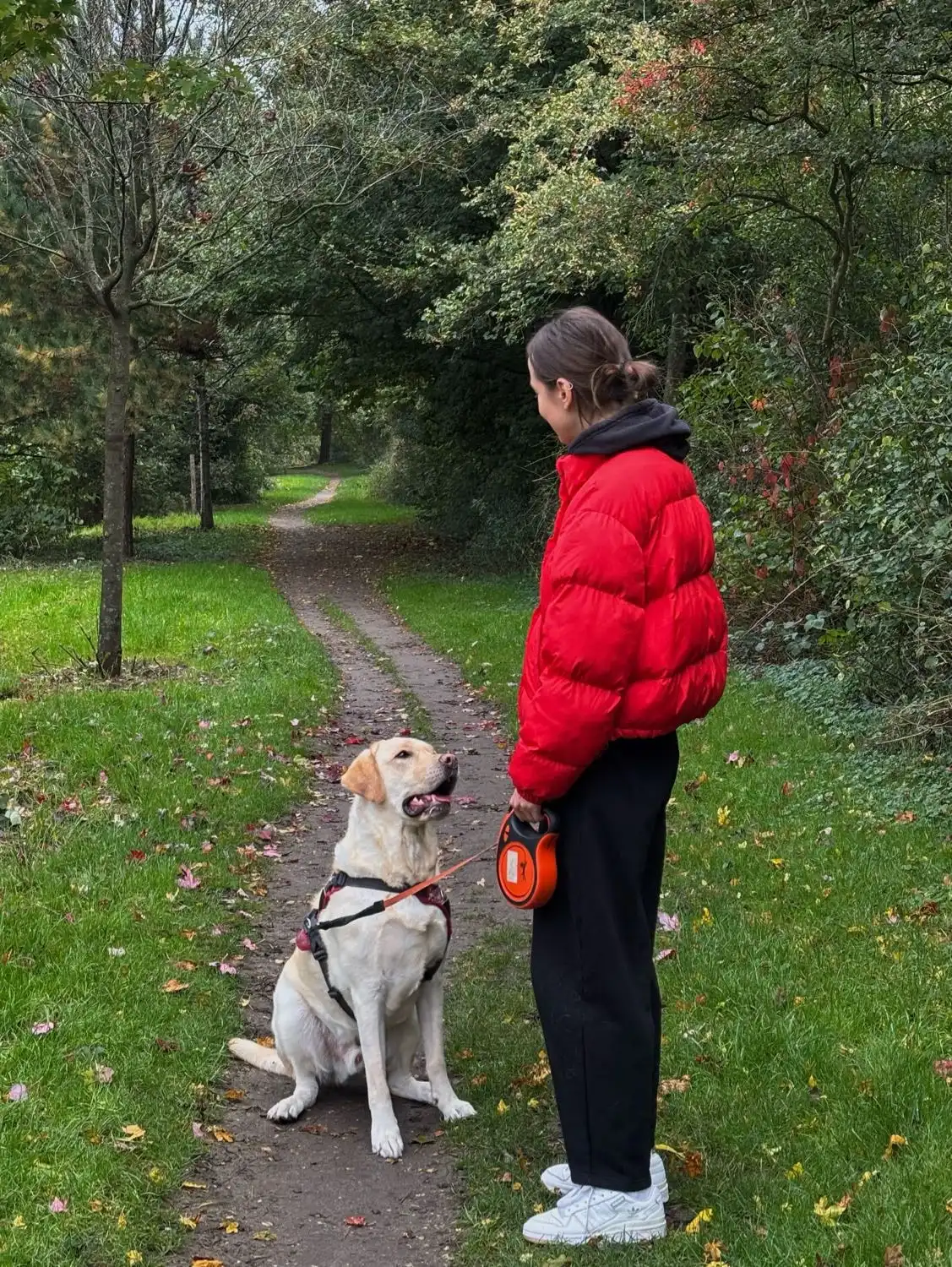 image-28