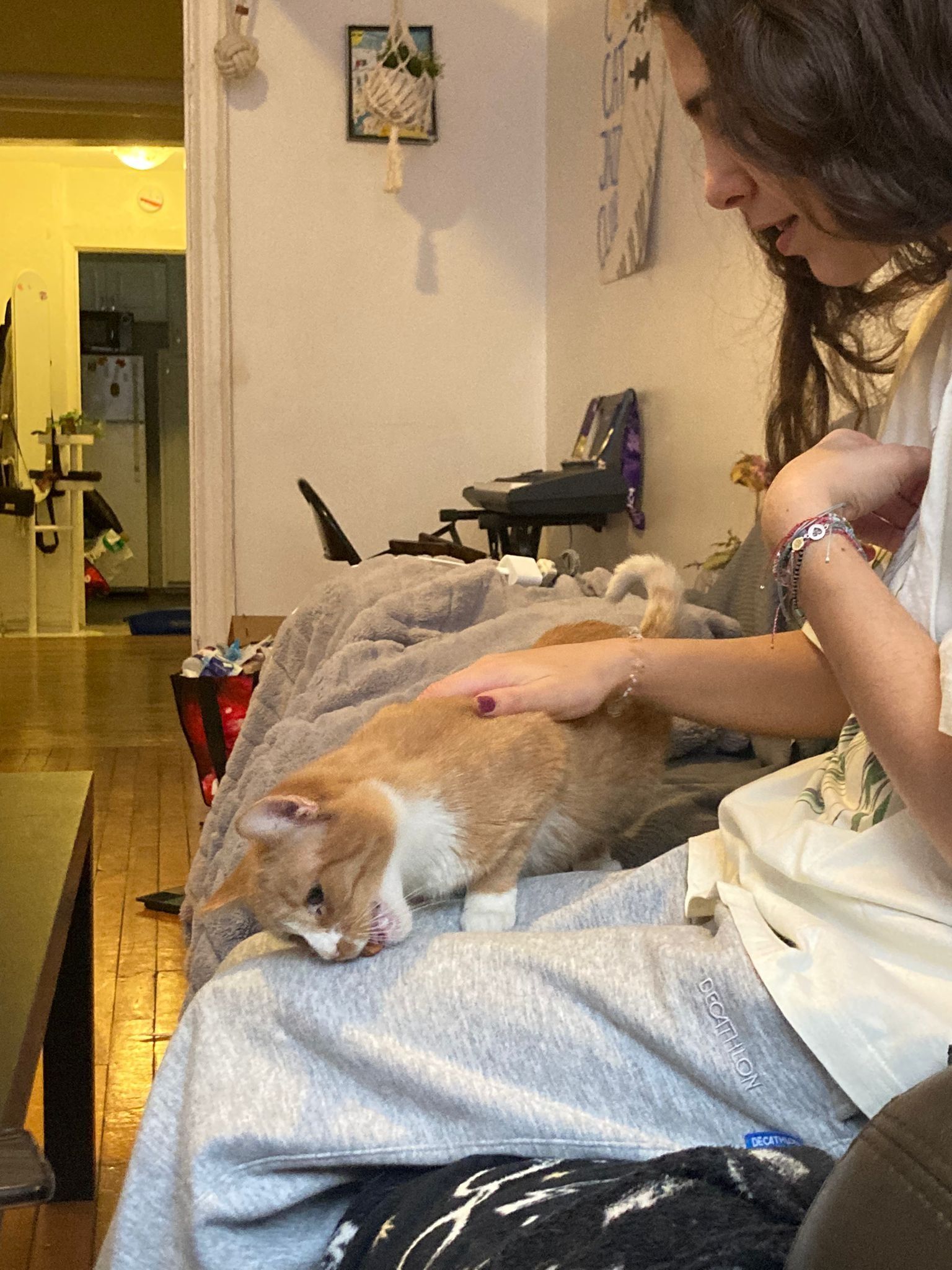 image-8