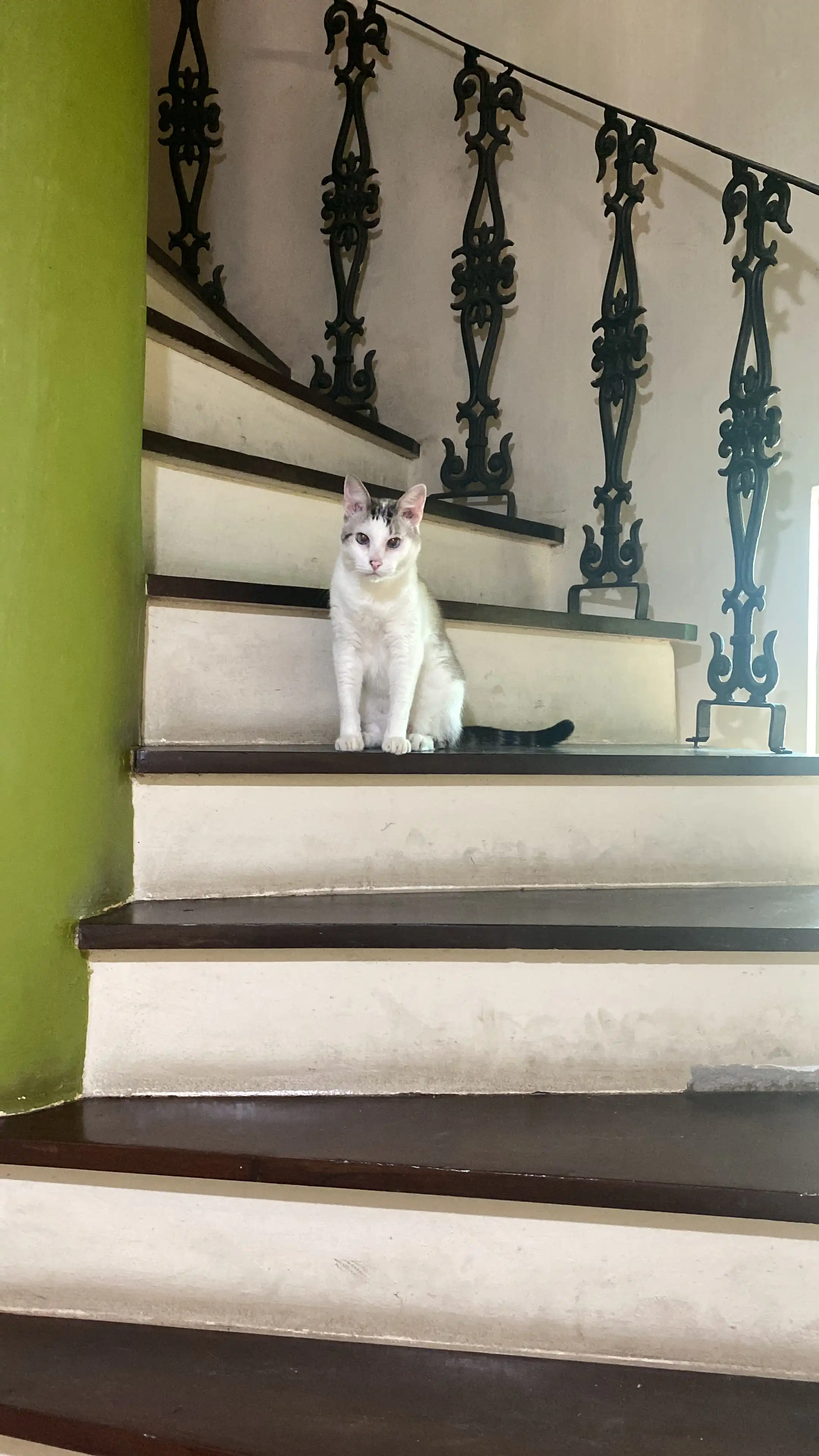 image-7