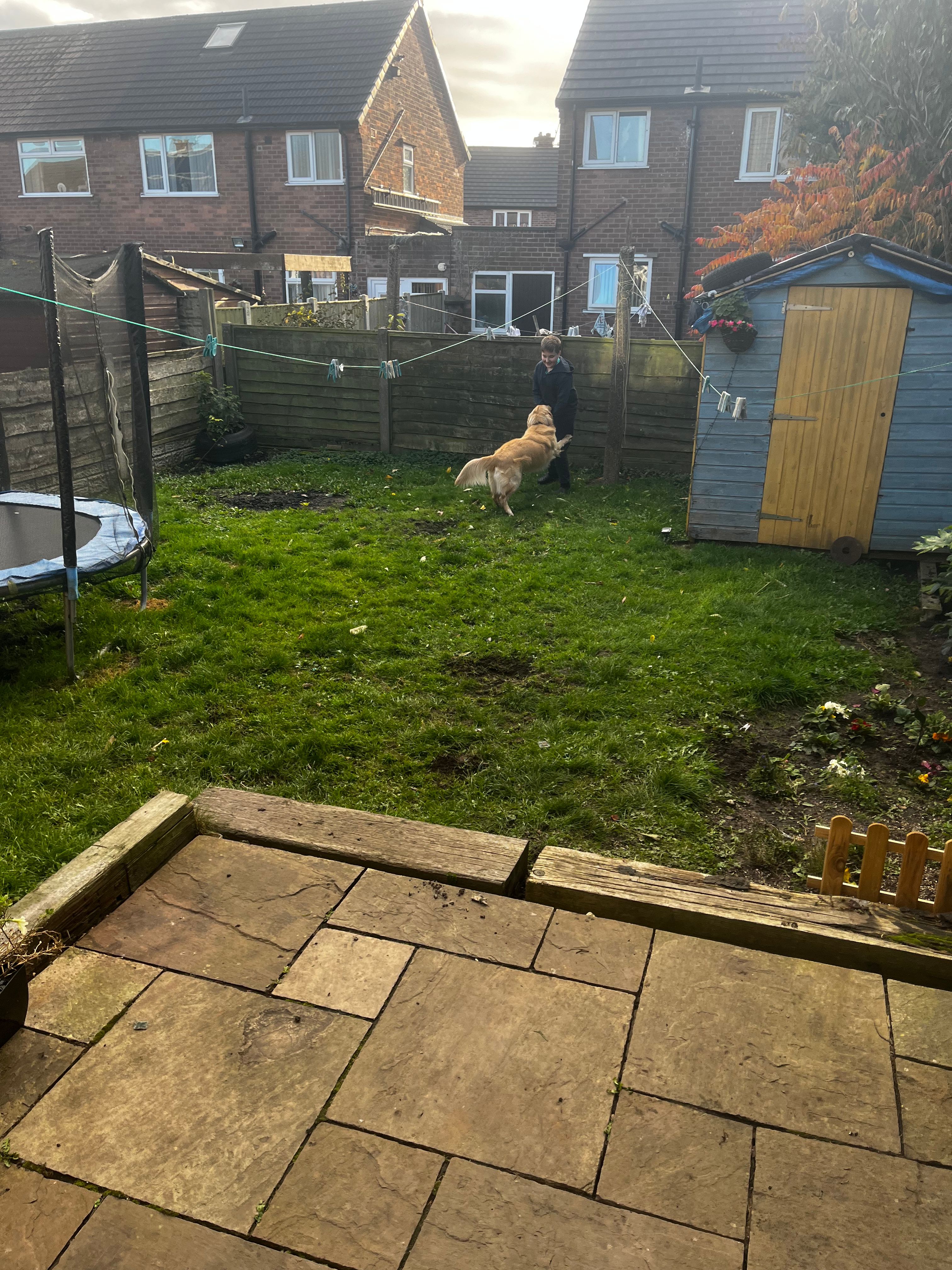 image-20