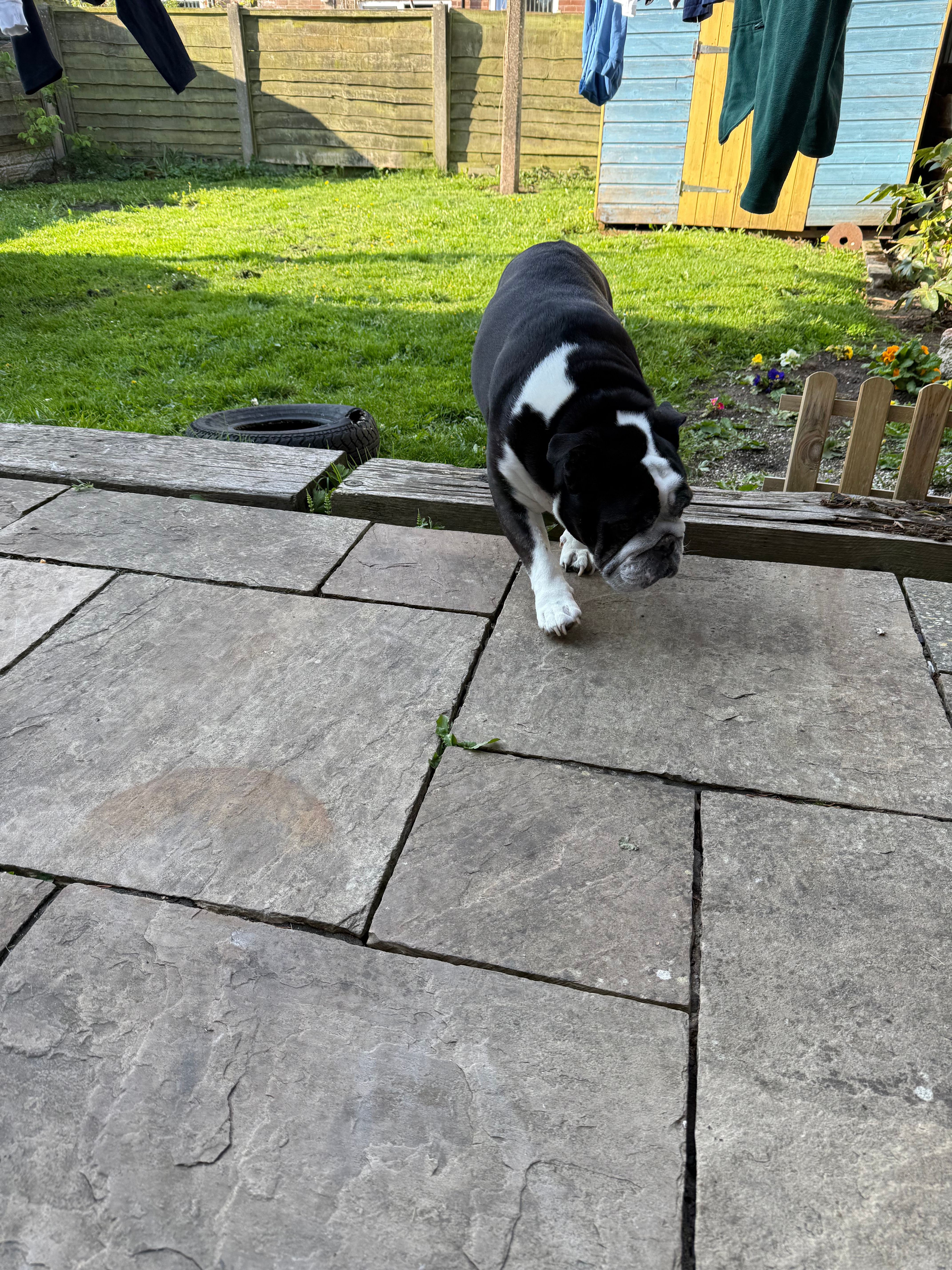 image-29