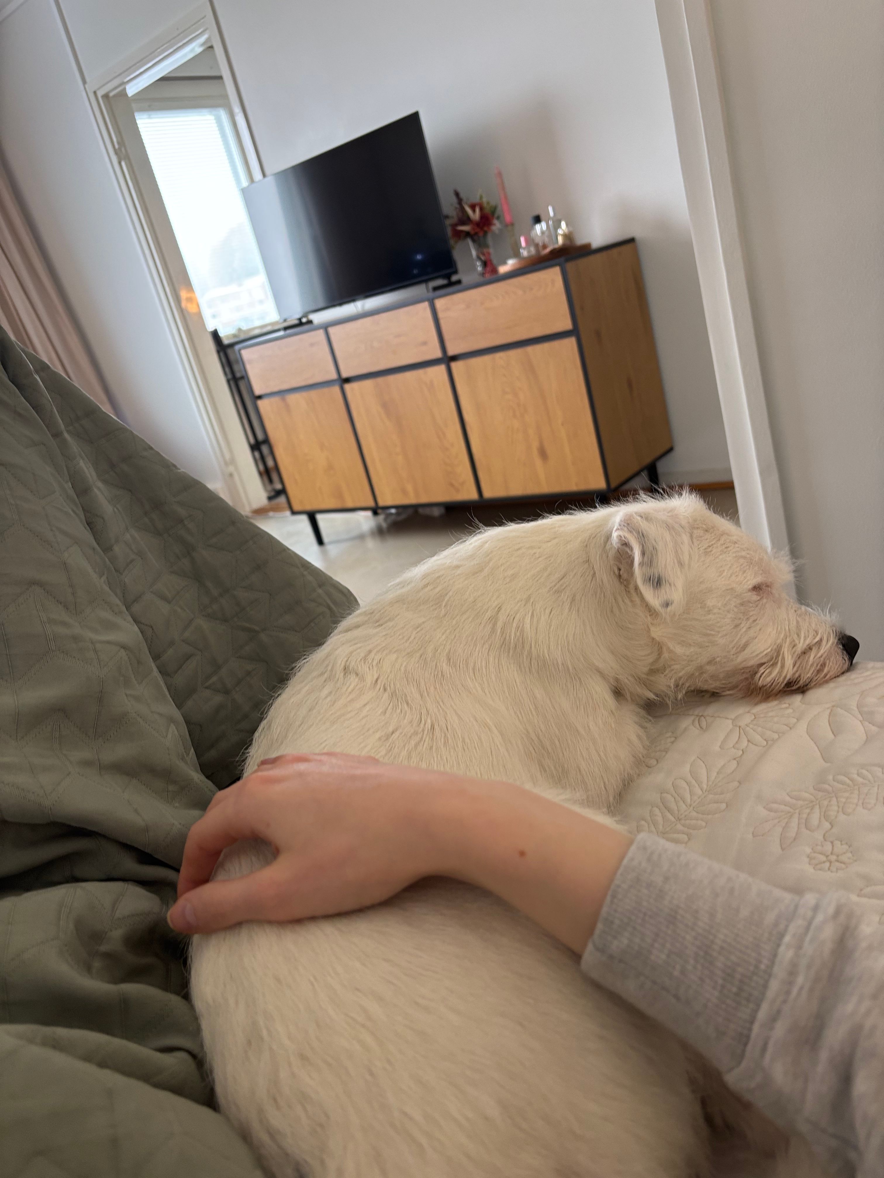 image-8