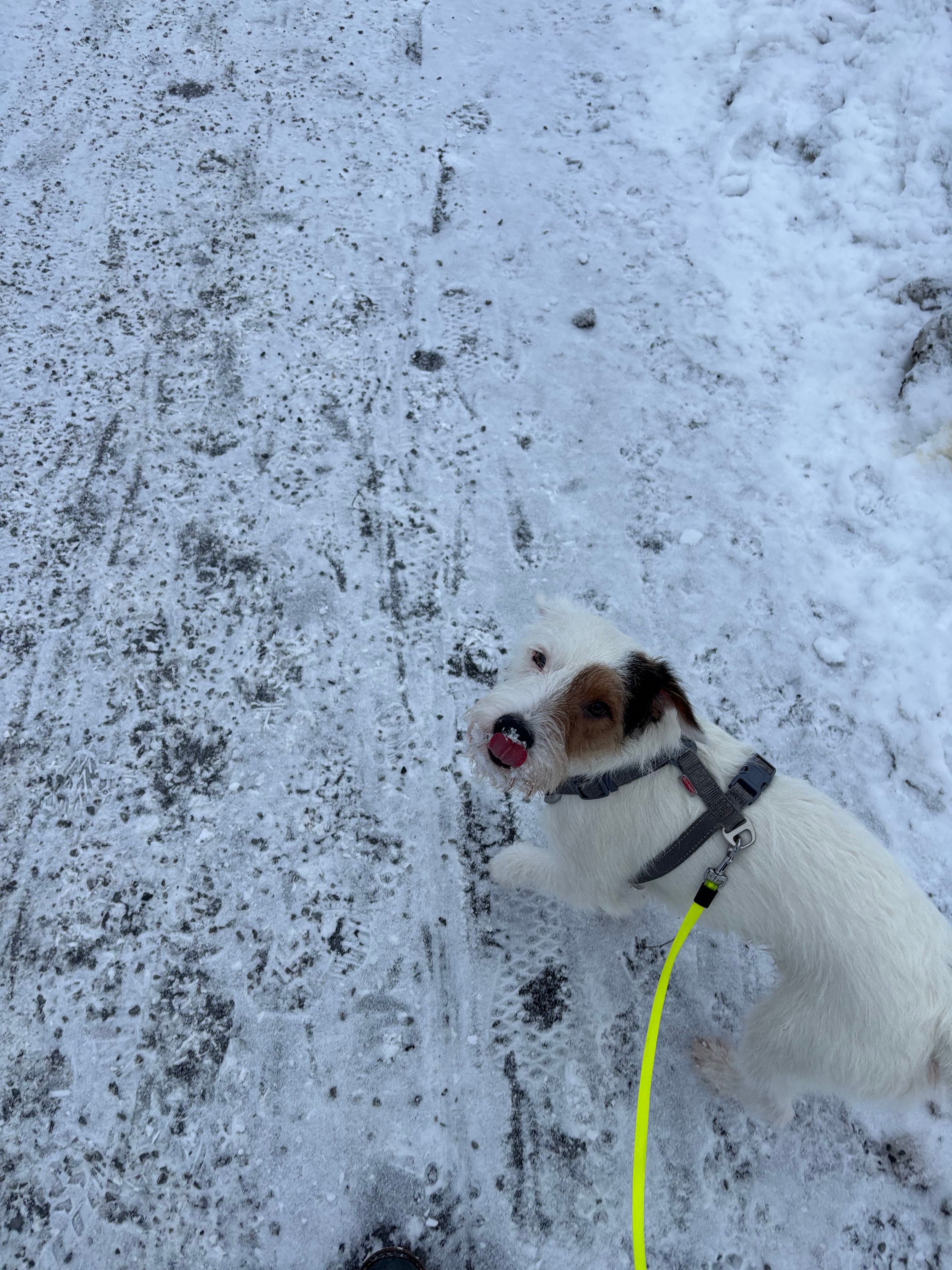 image-7