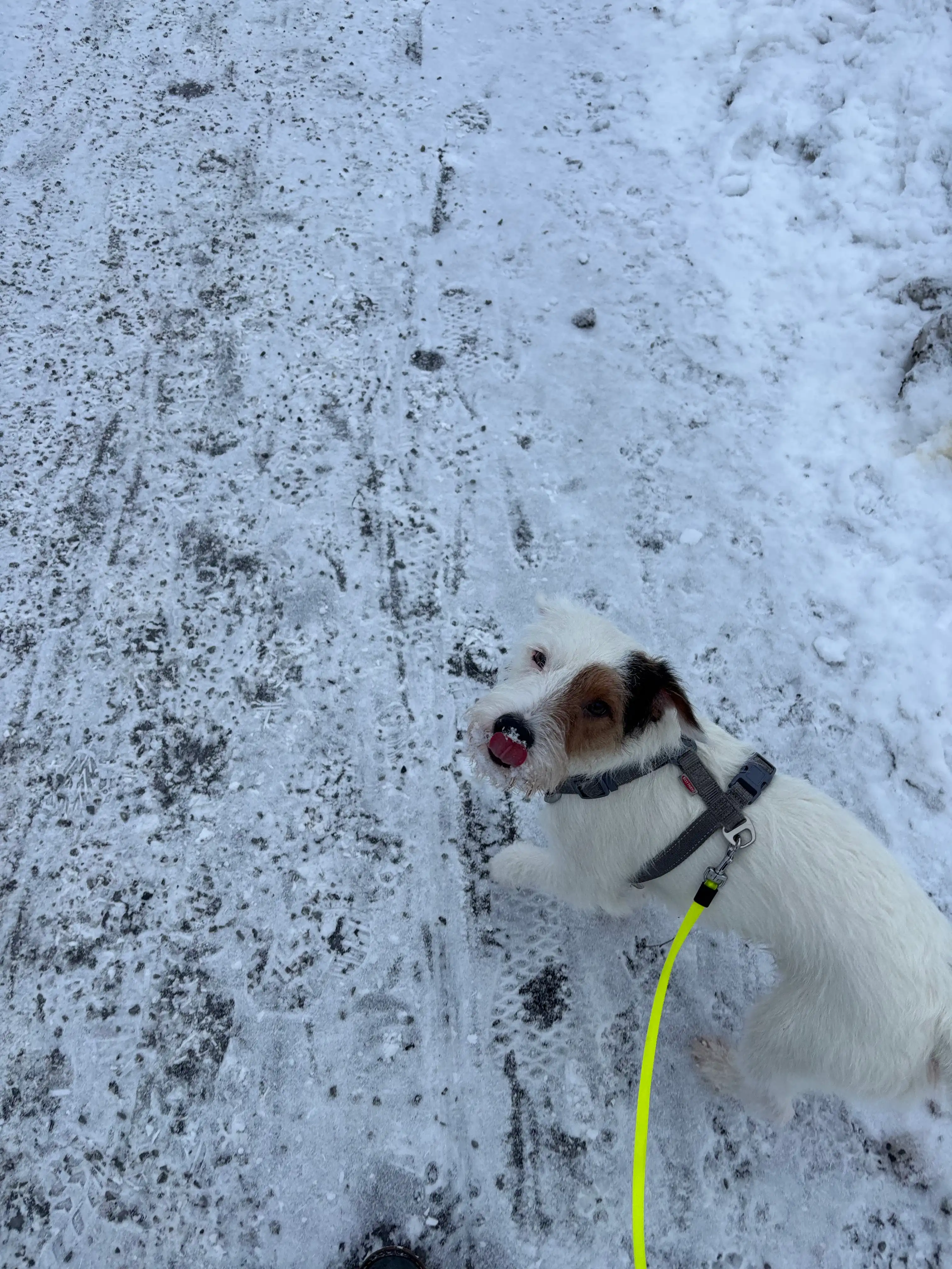 image-7