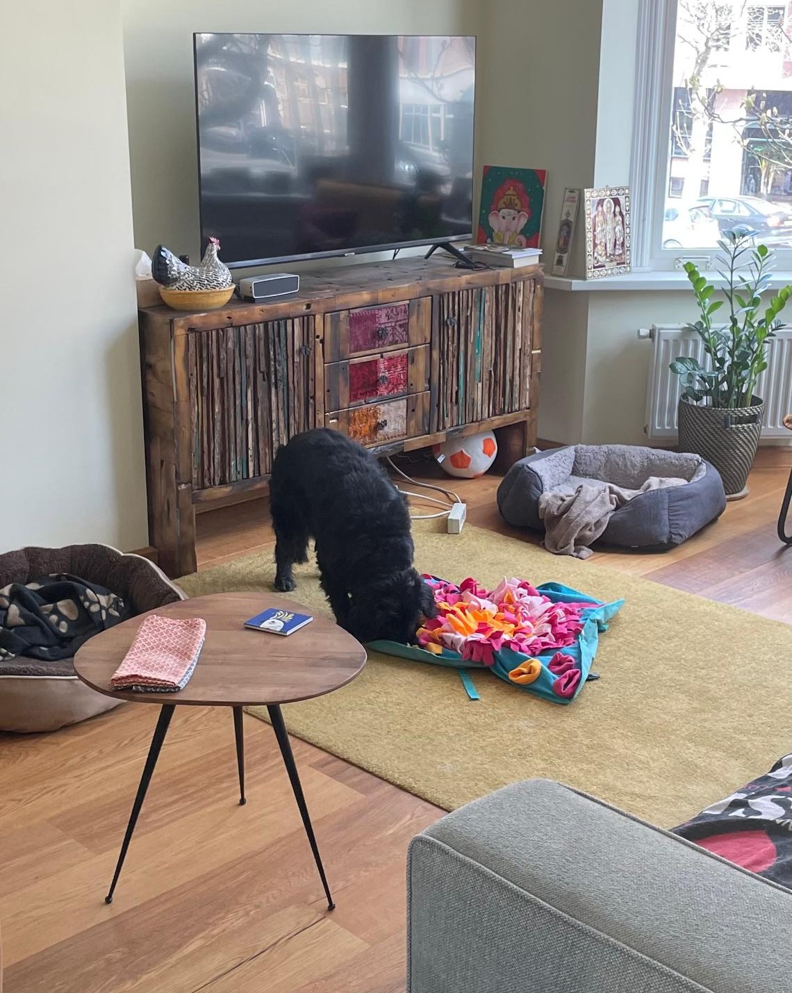 image-13