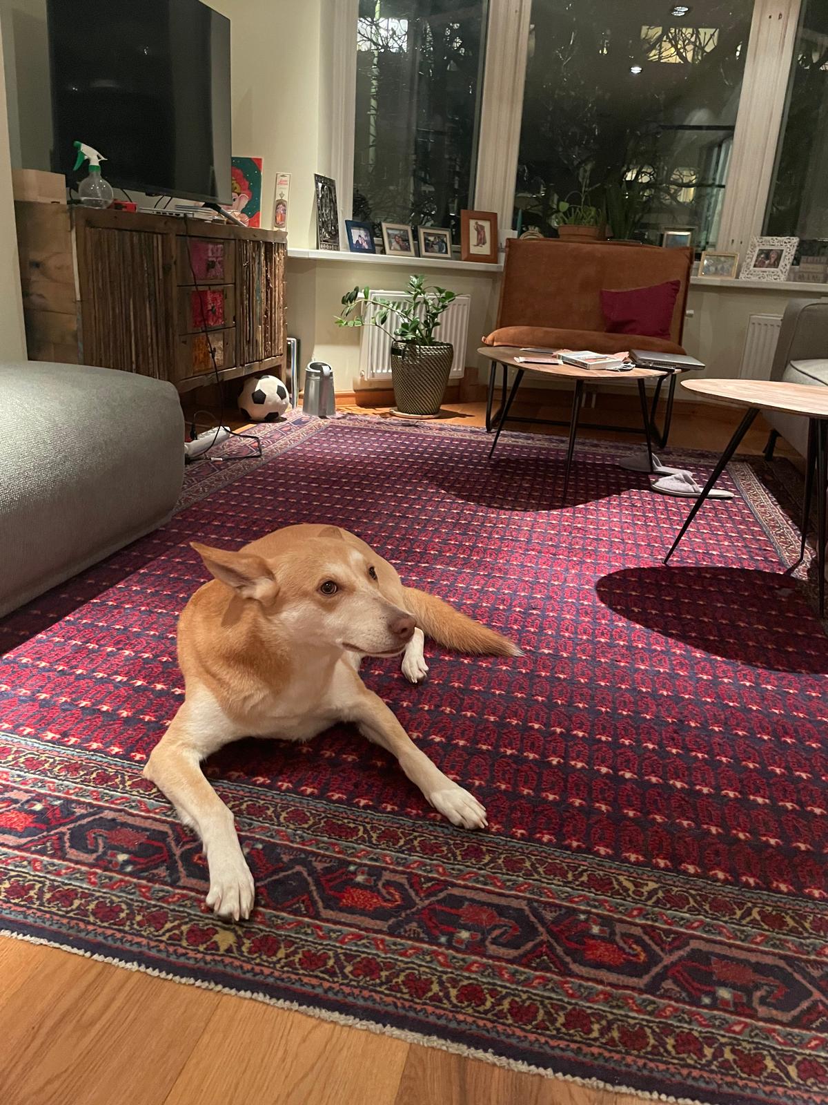 image-9