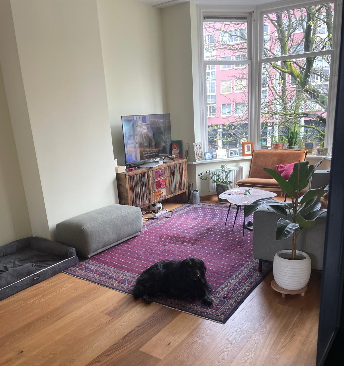 image-14