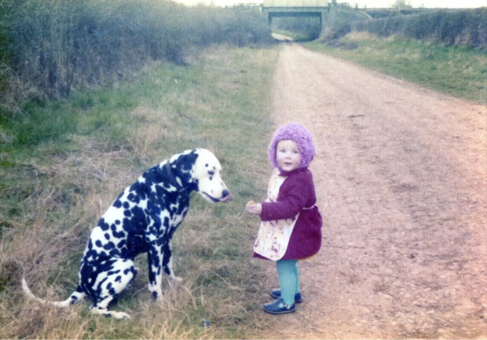 image-7