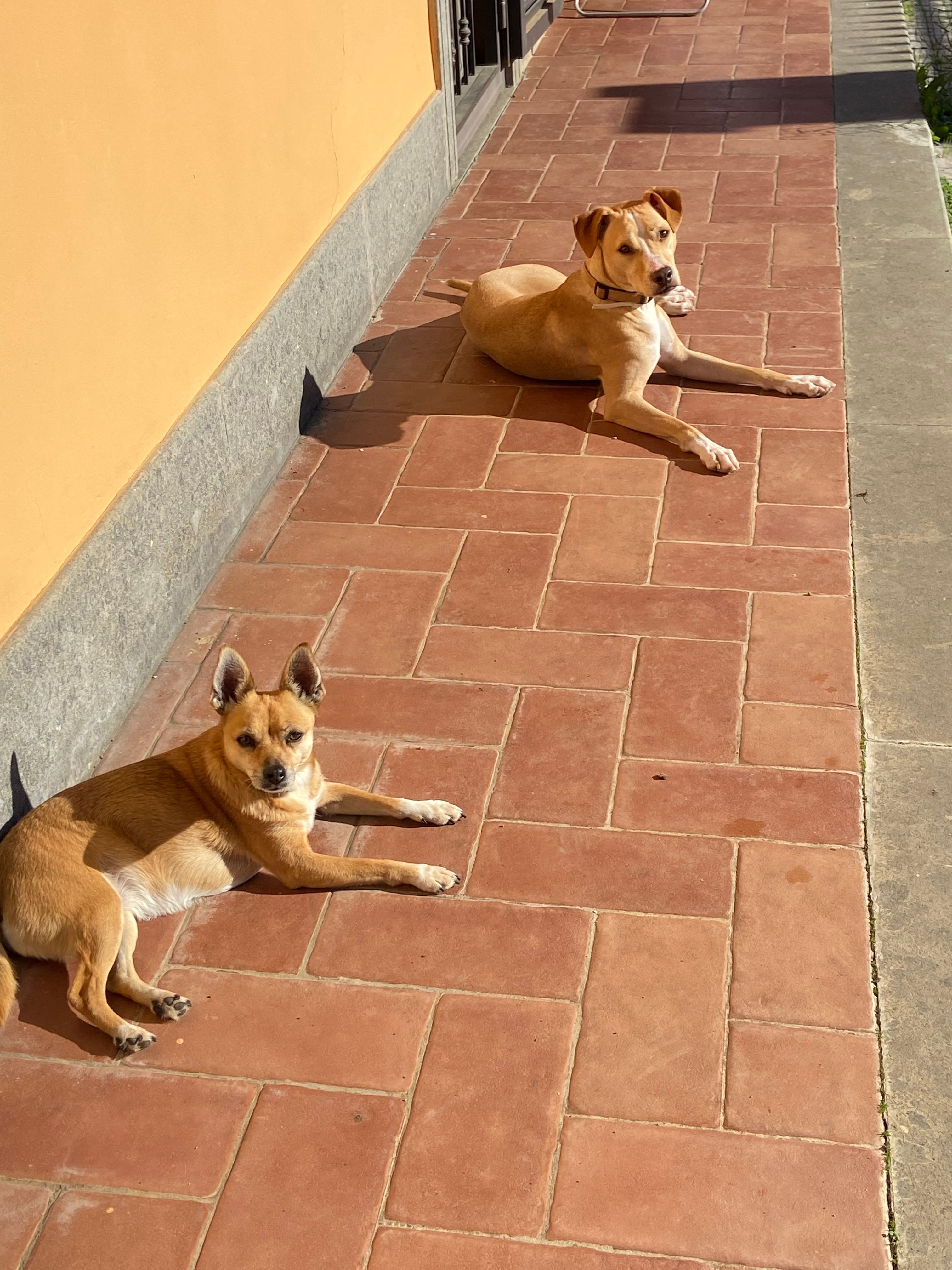 image-18