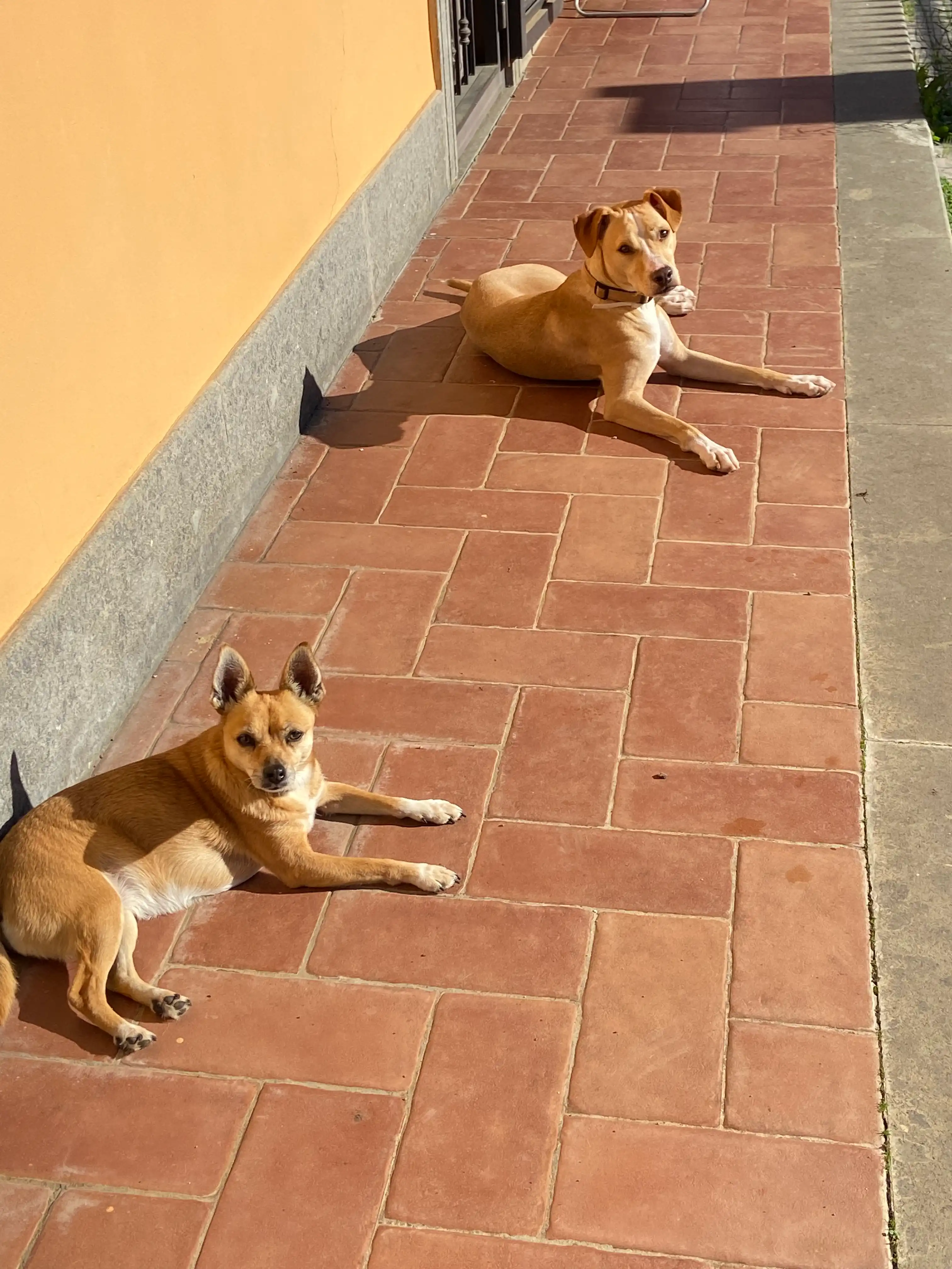 image-18