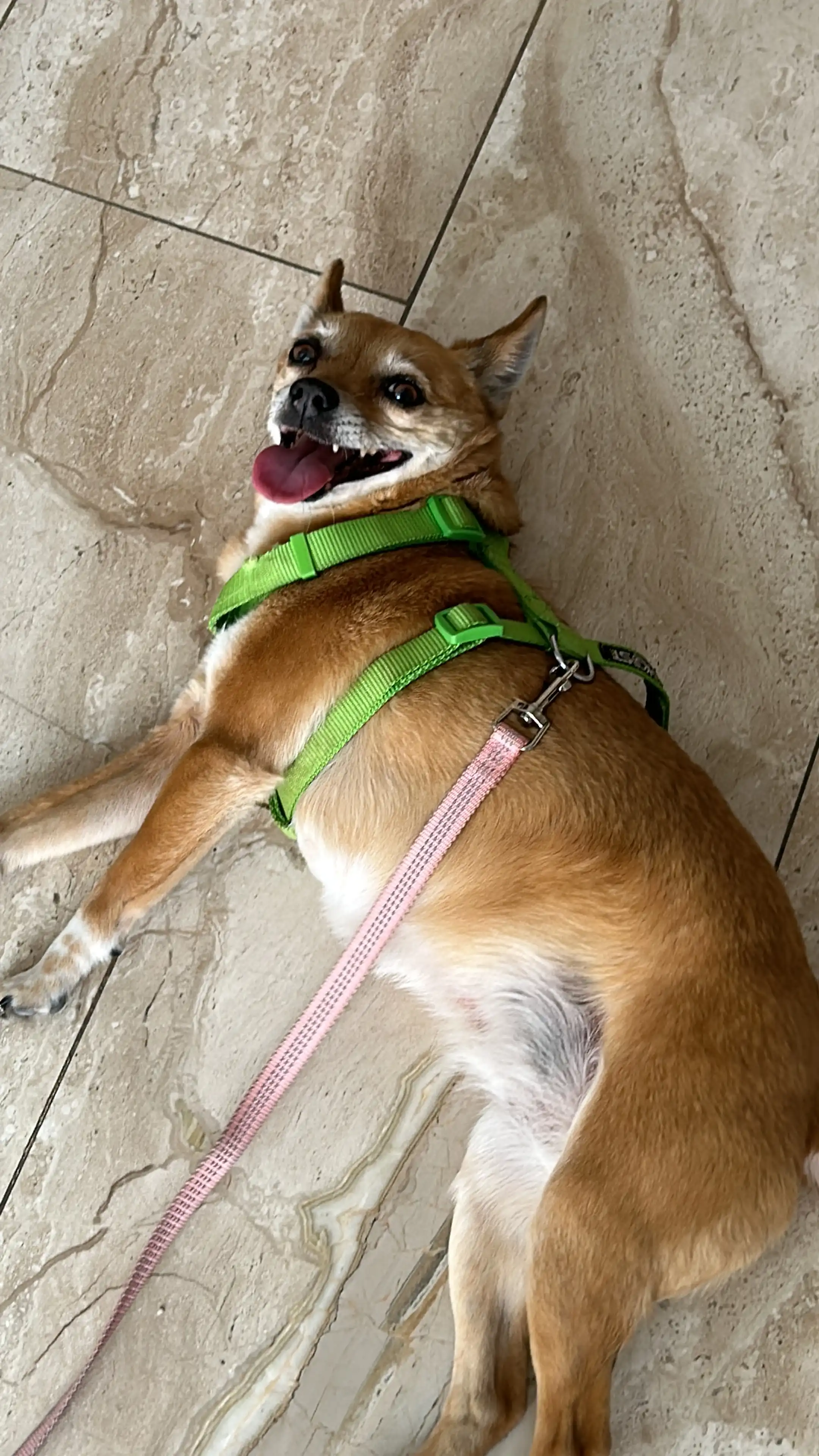 image-15