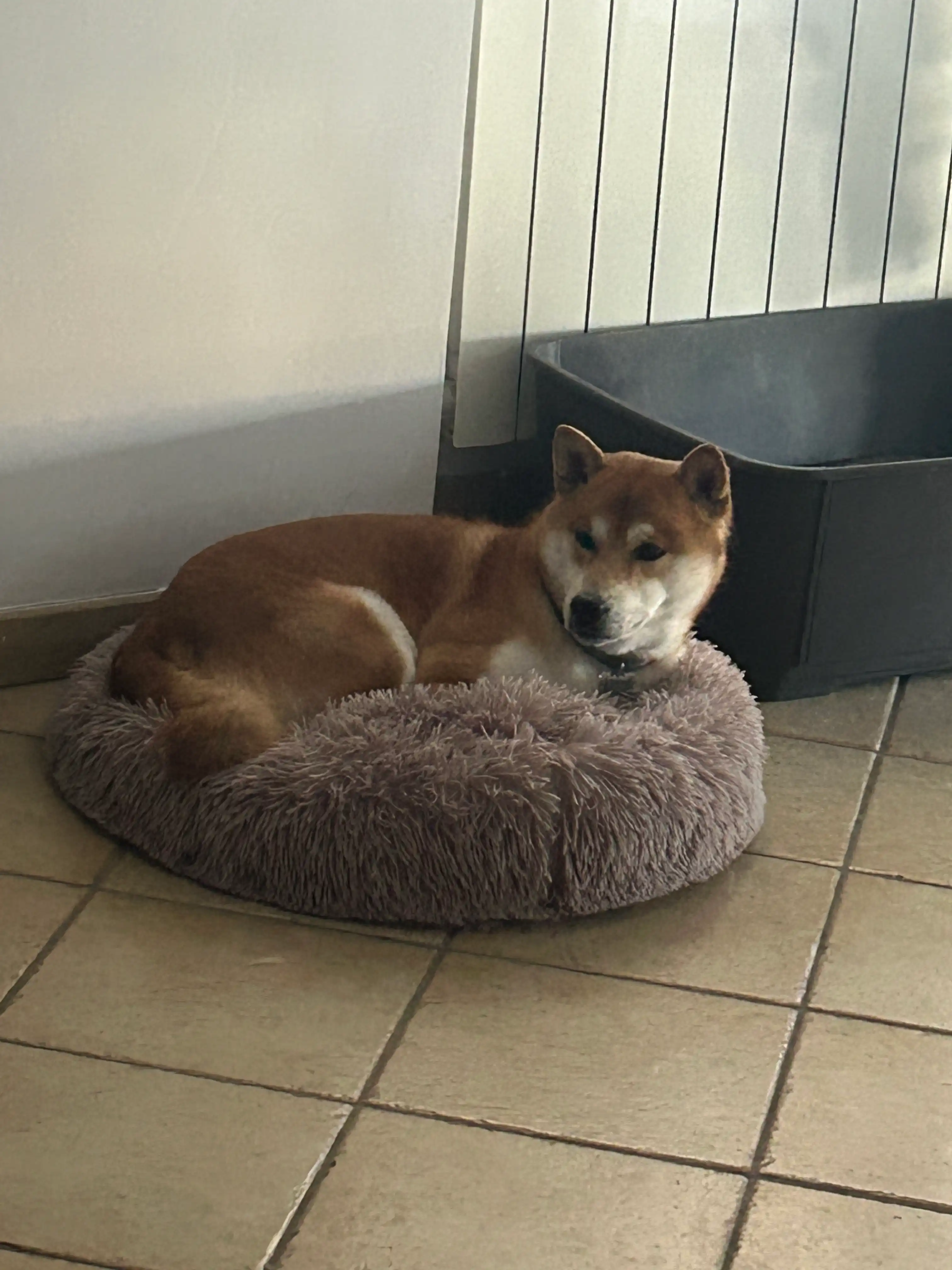 image-16