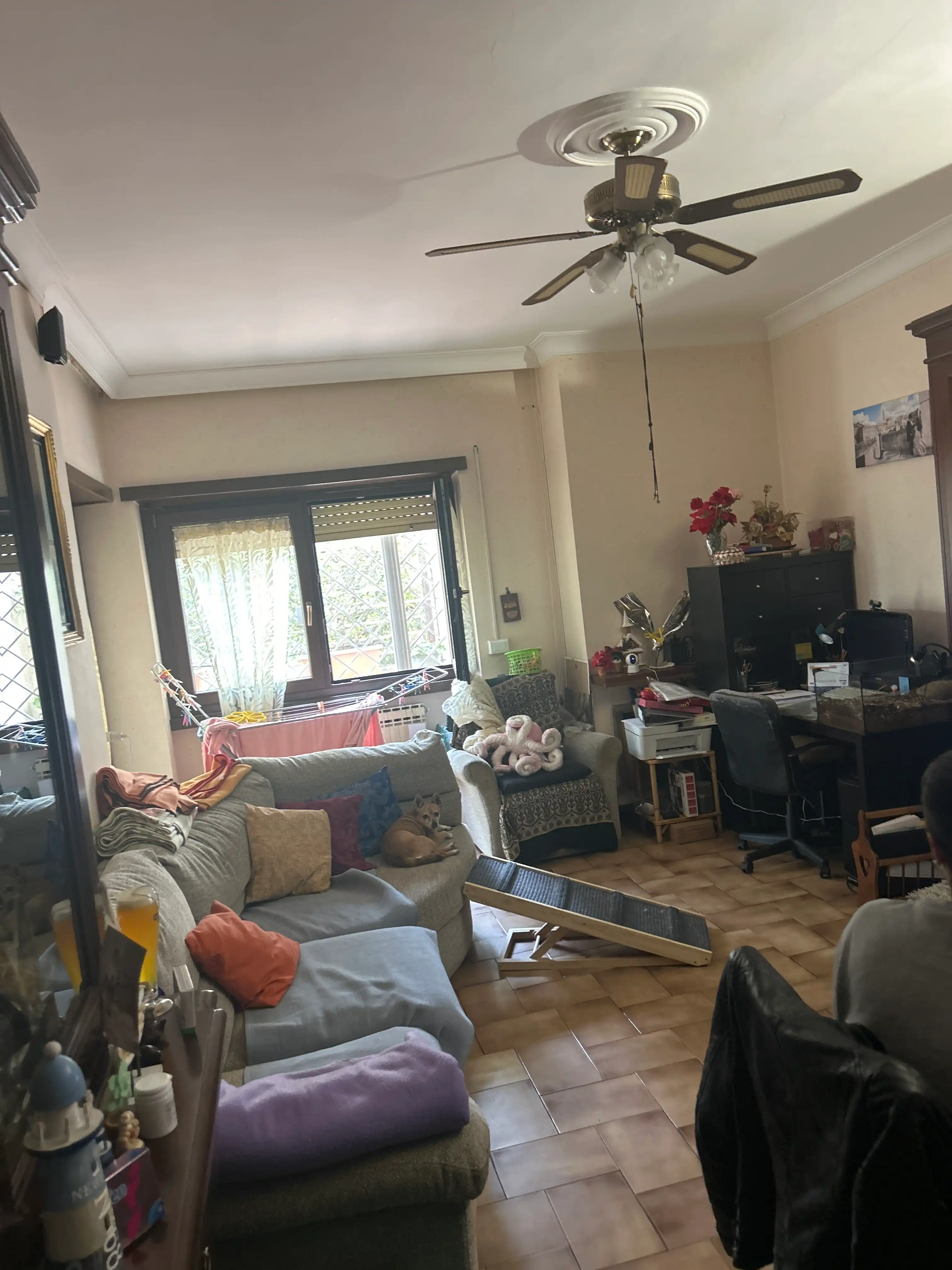 image-18