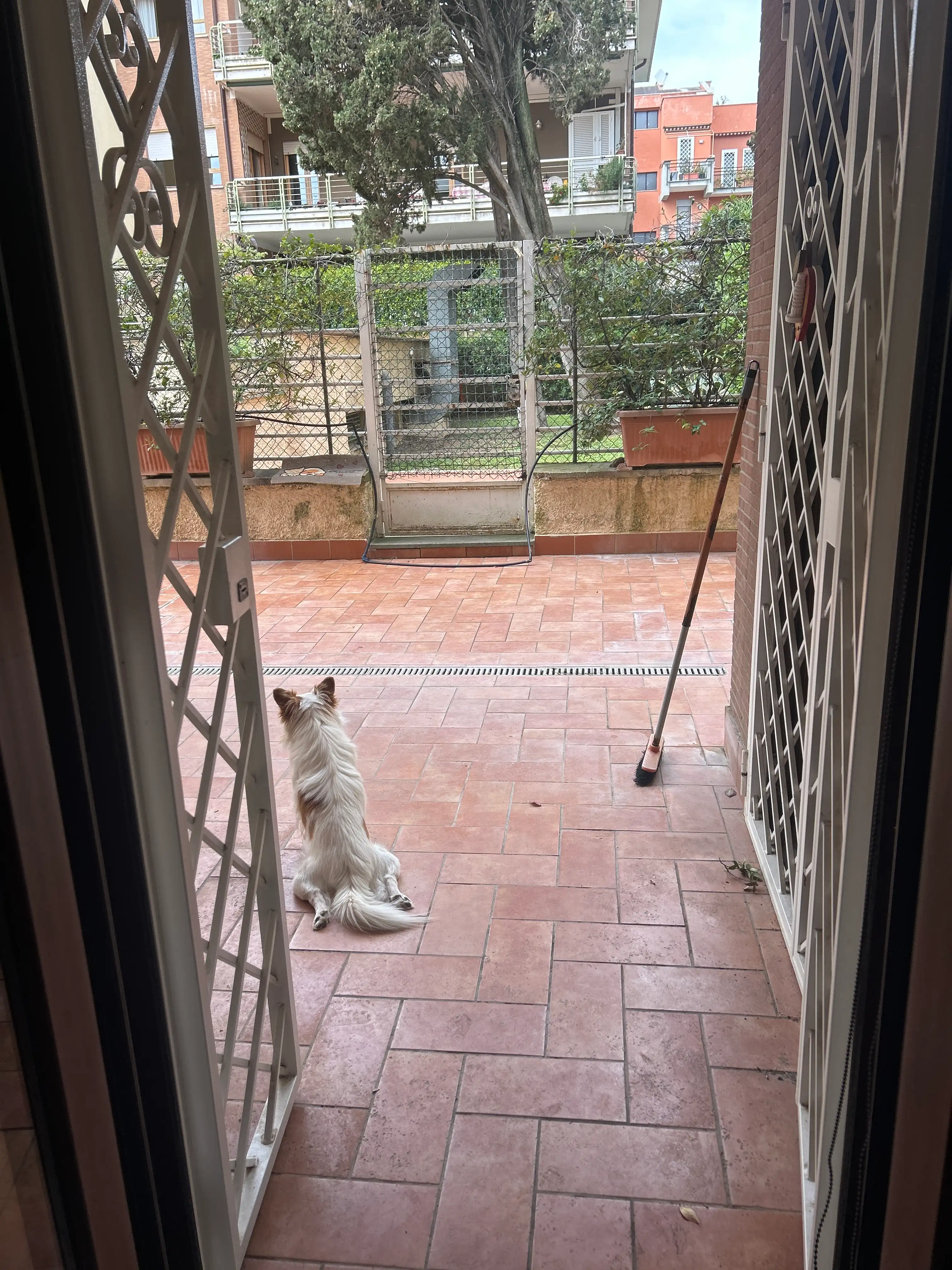 image-19