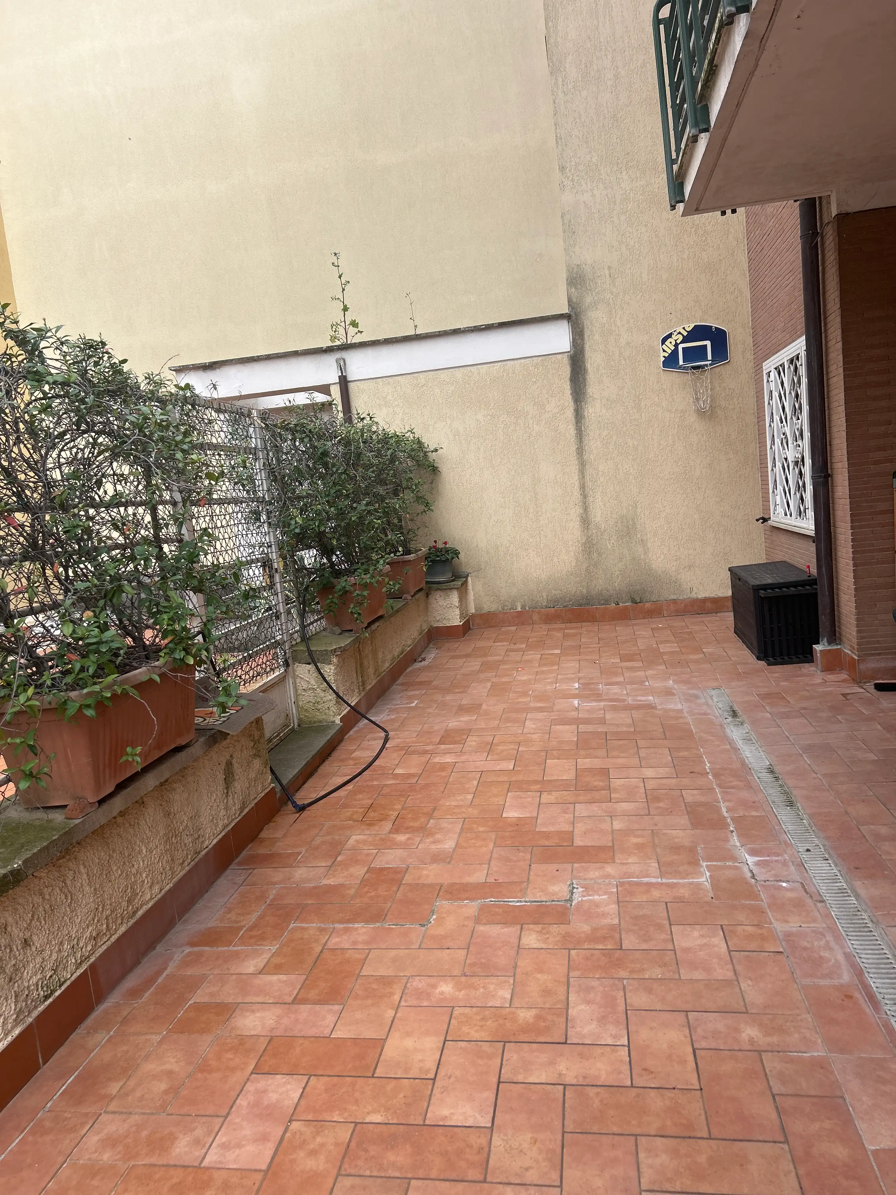 image-24