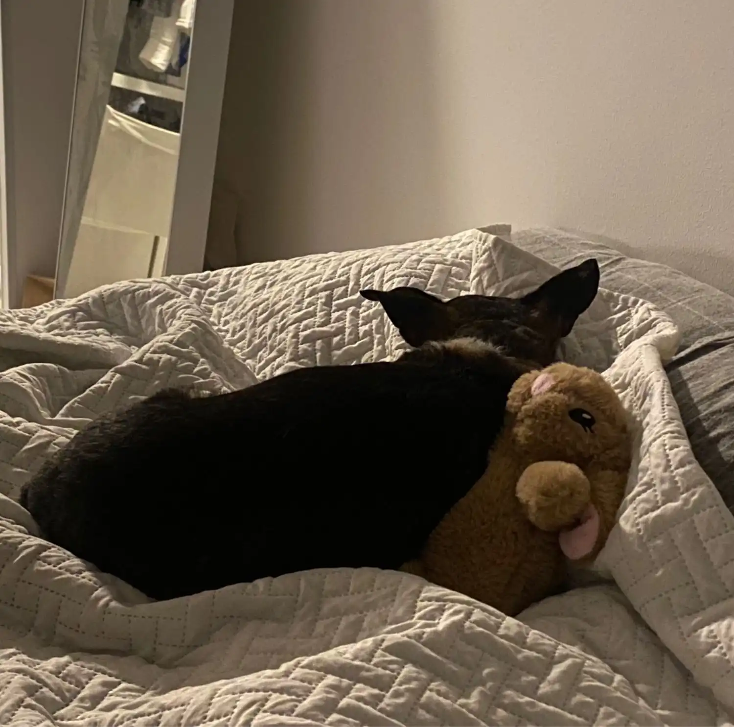 image-18