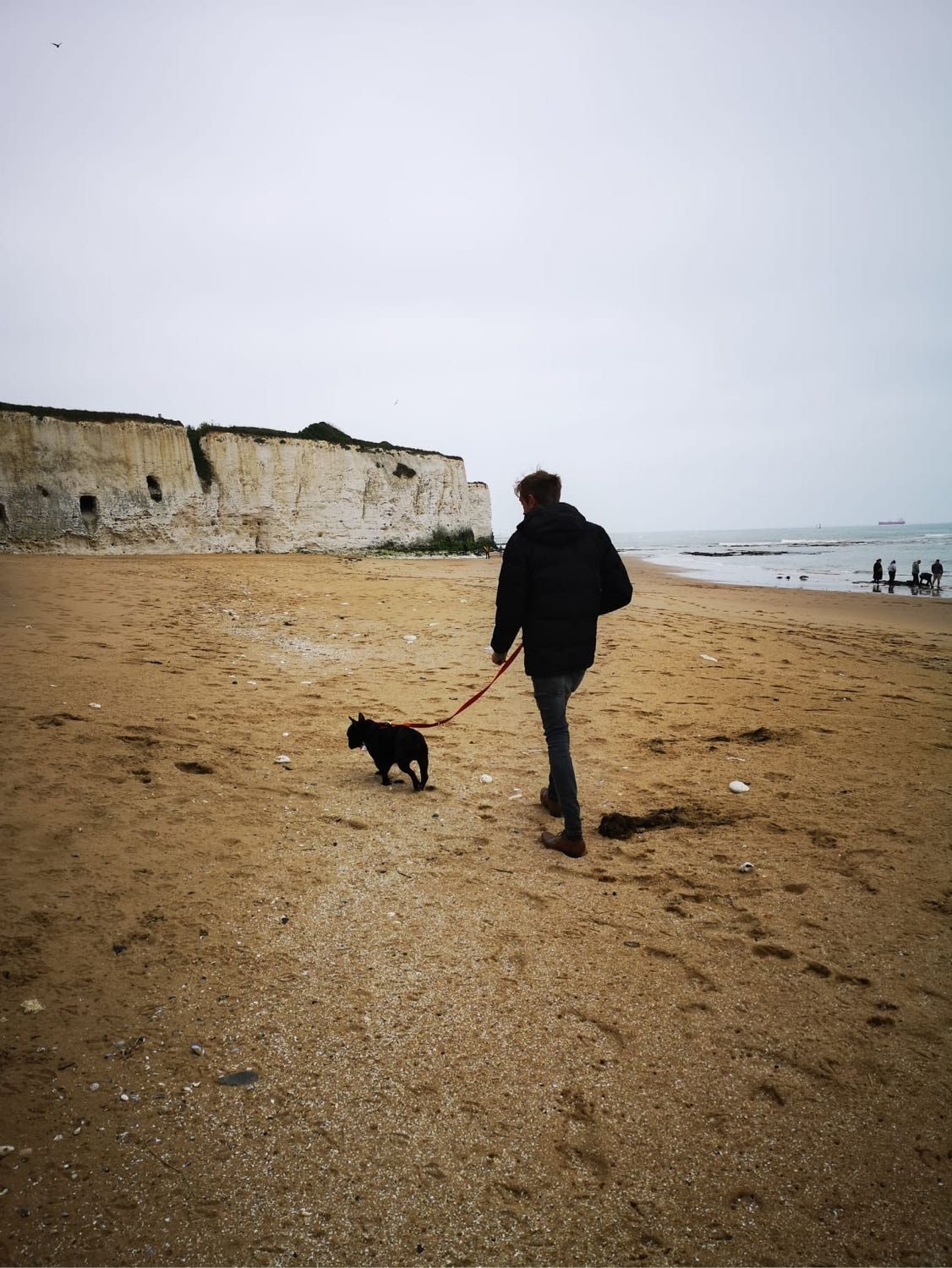 image-11