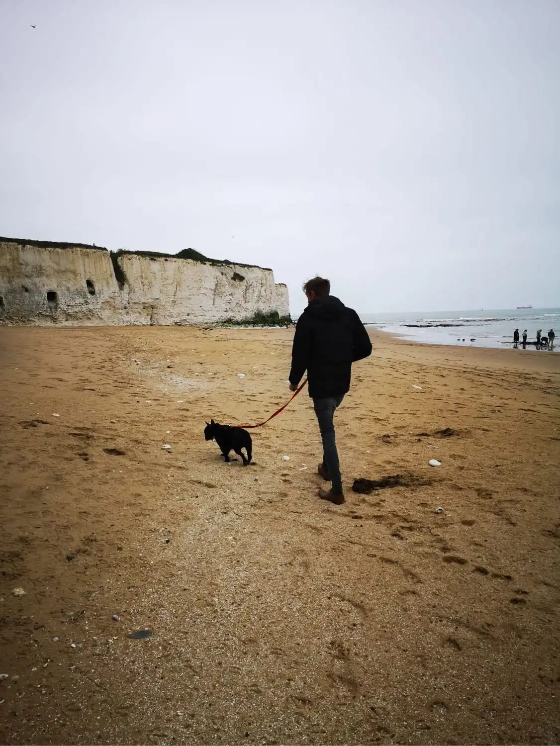 image-11