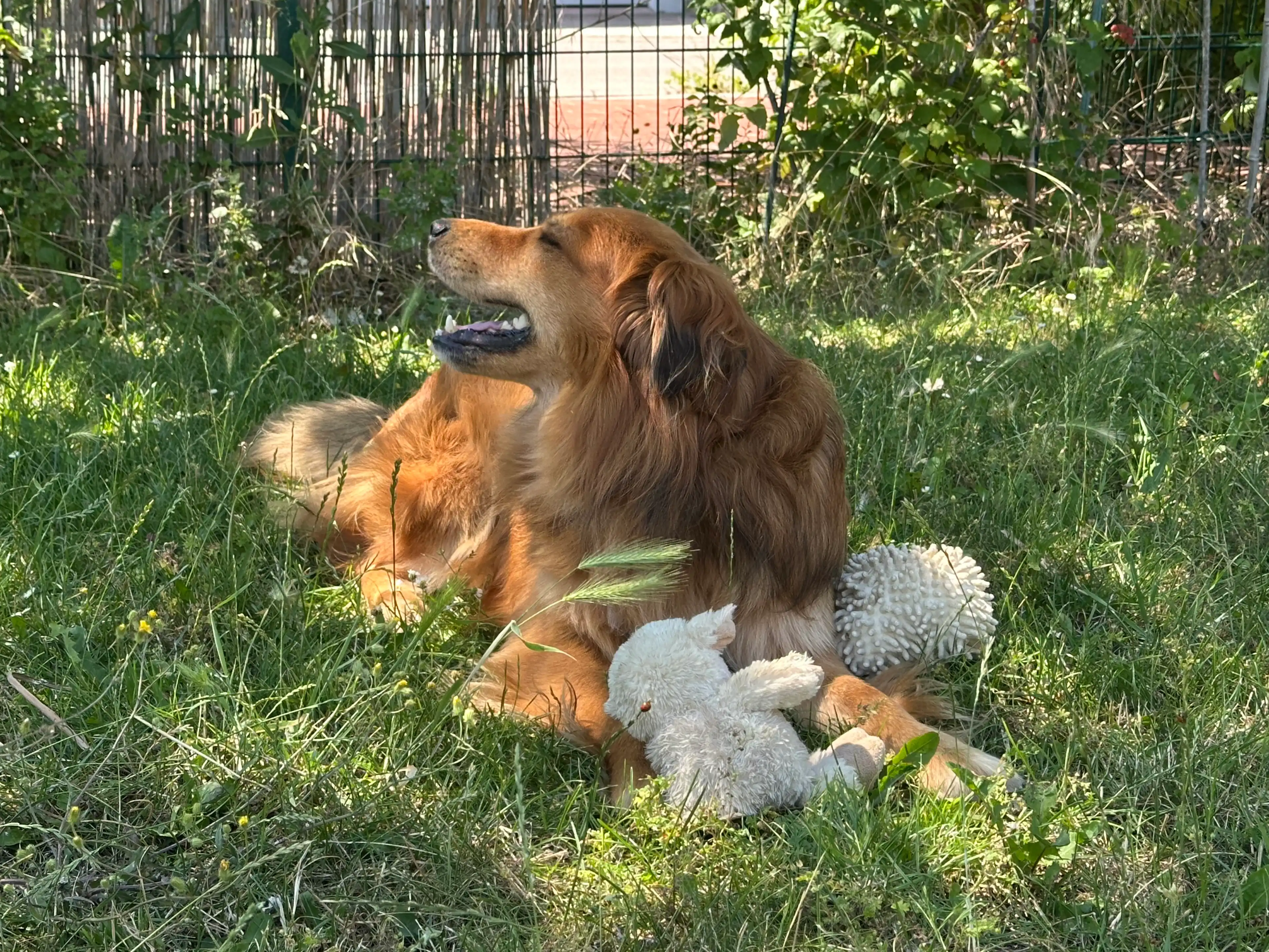 image-16