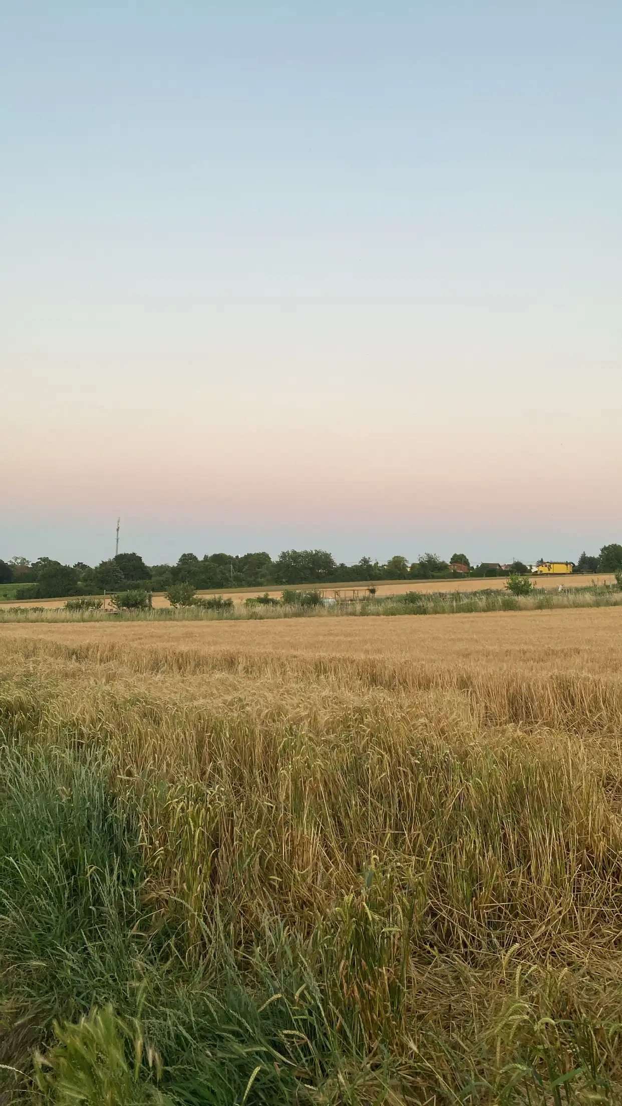 image-21