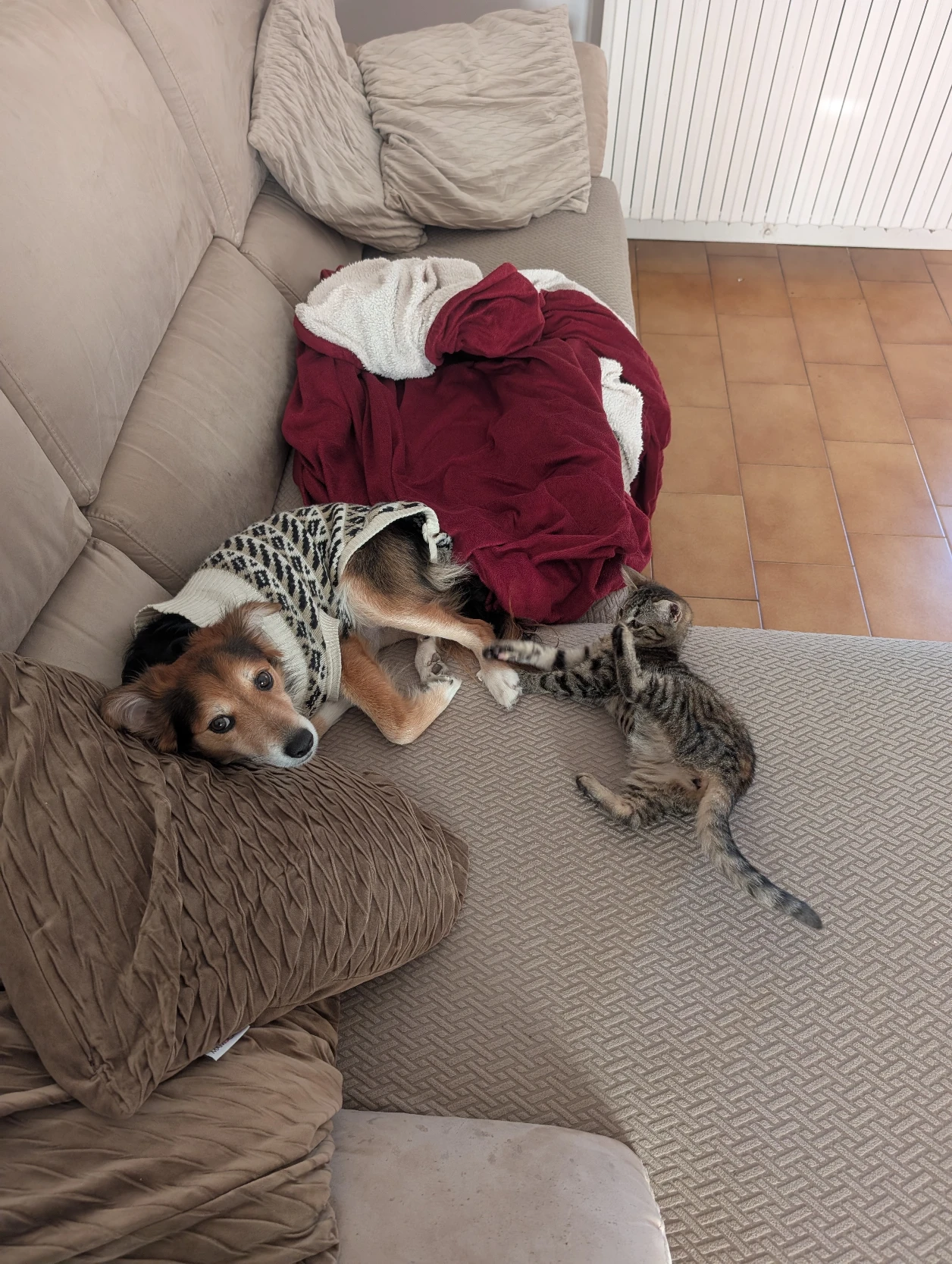 image-10