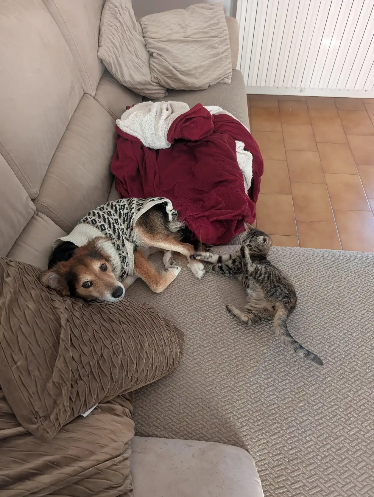 image-10