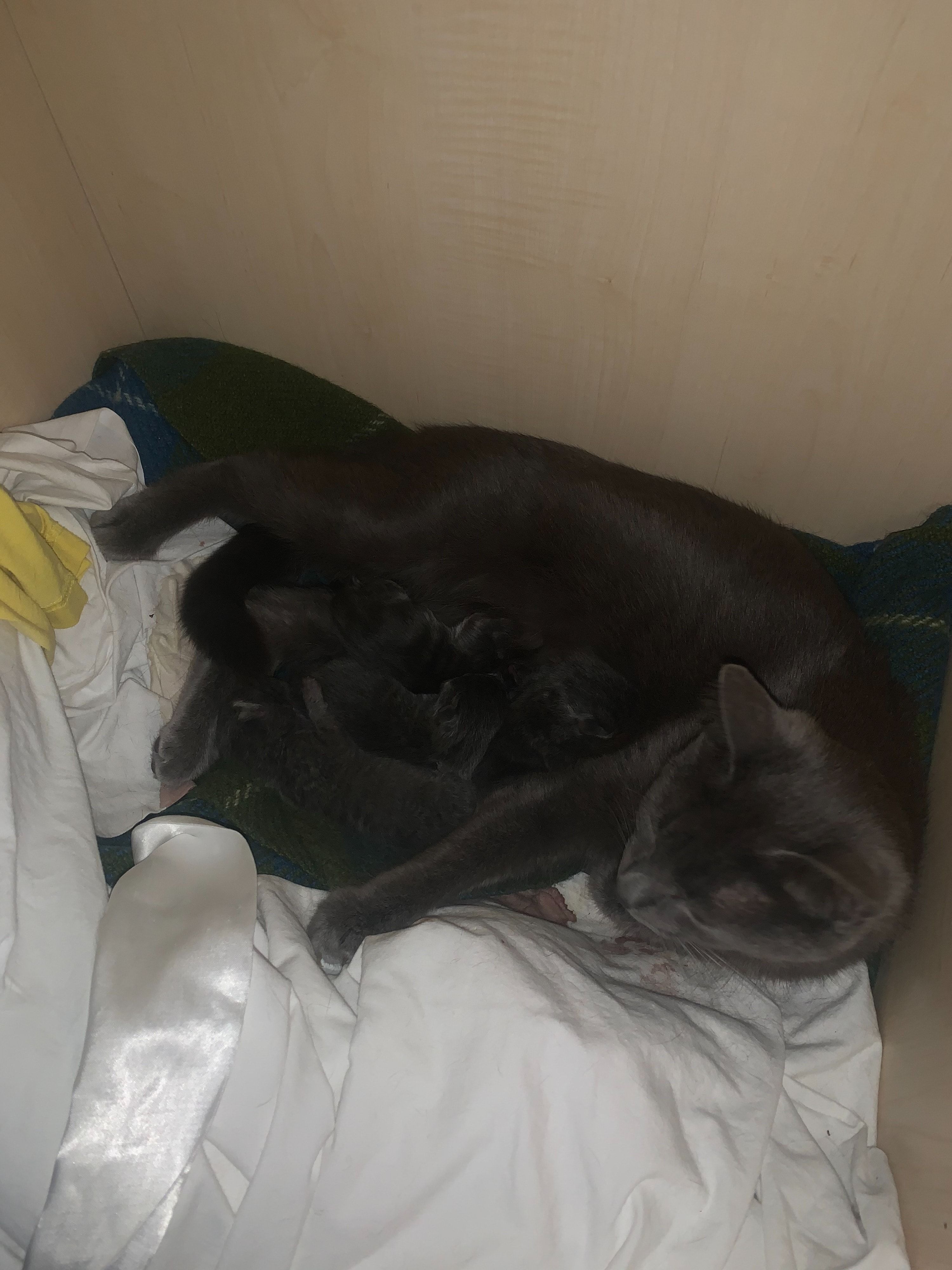 image-8